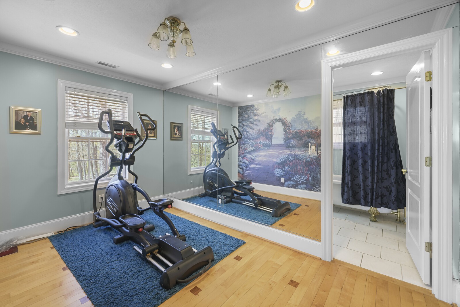 386 Hanging Rock Dr