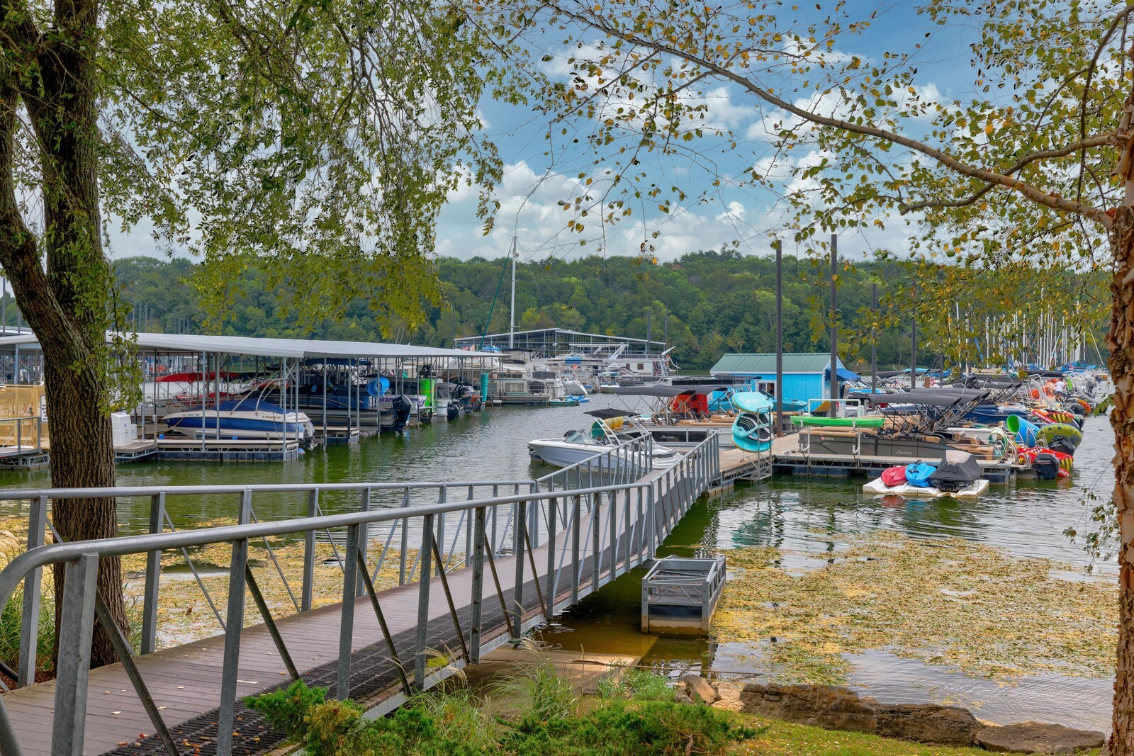 119 Lakebrink Dr