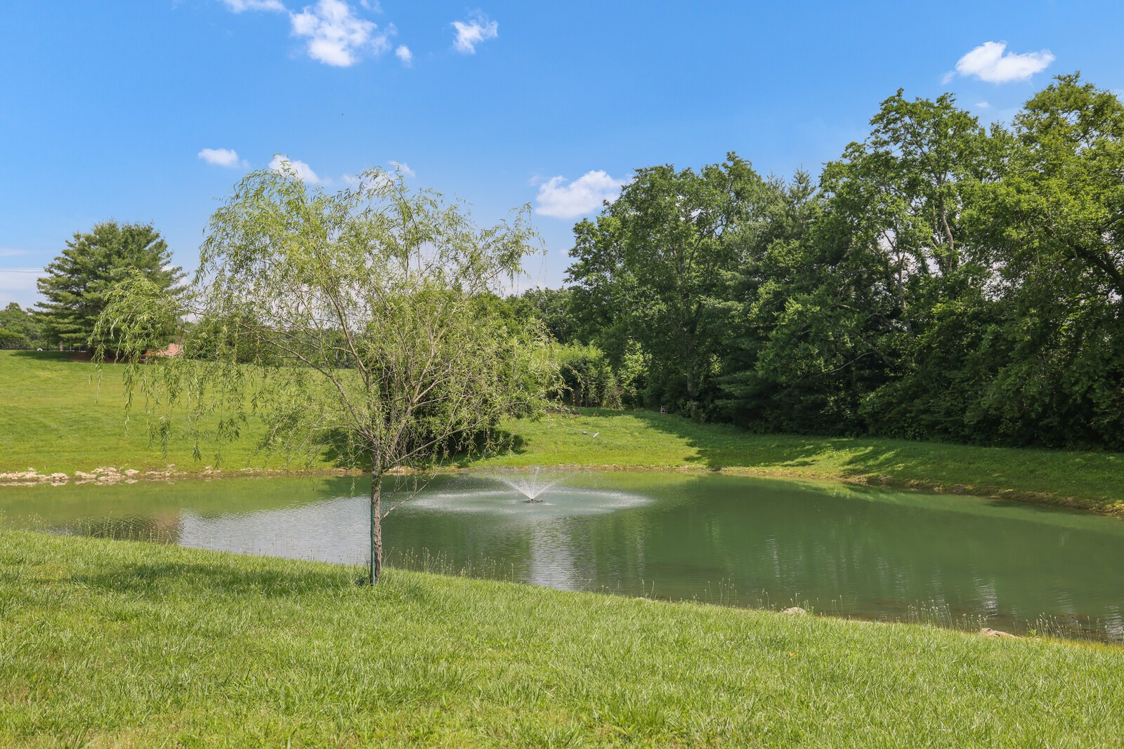 1357 Madison Creek Rd