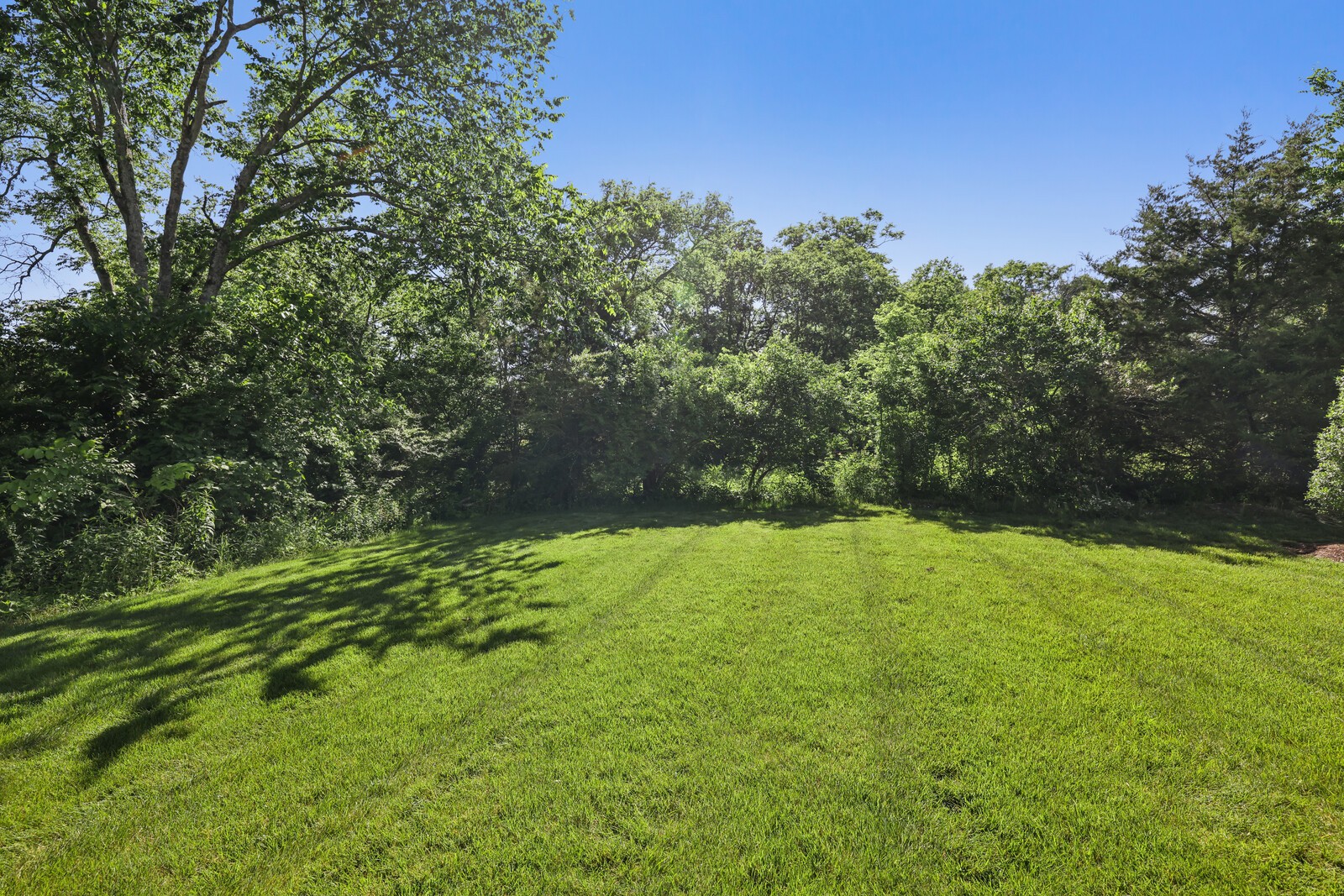 334 Triple Crown Cir