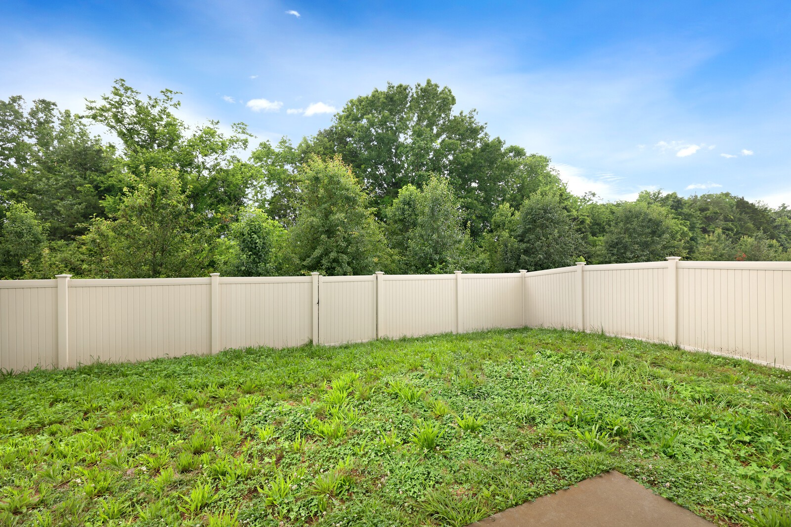 277 Willy Mae Rd