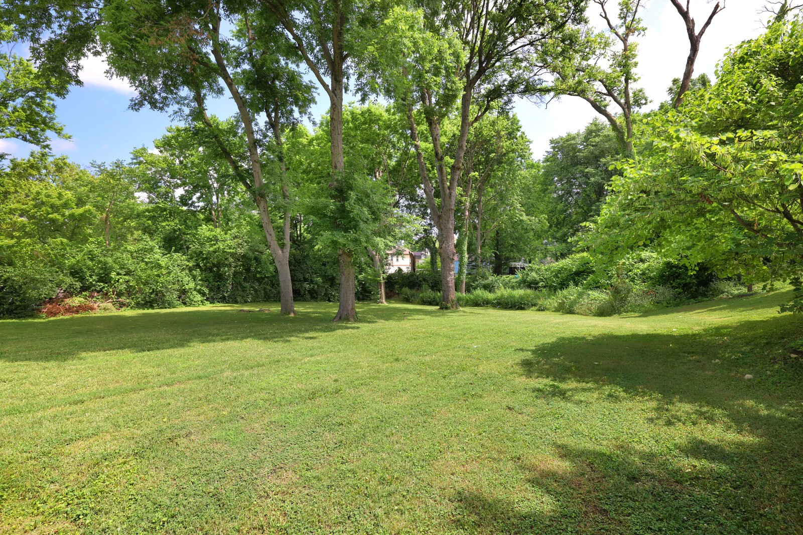 412 Westboro Dr