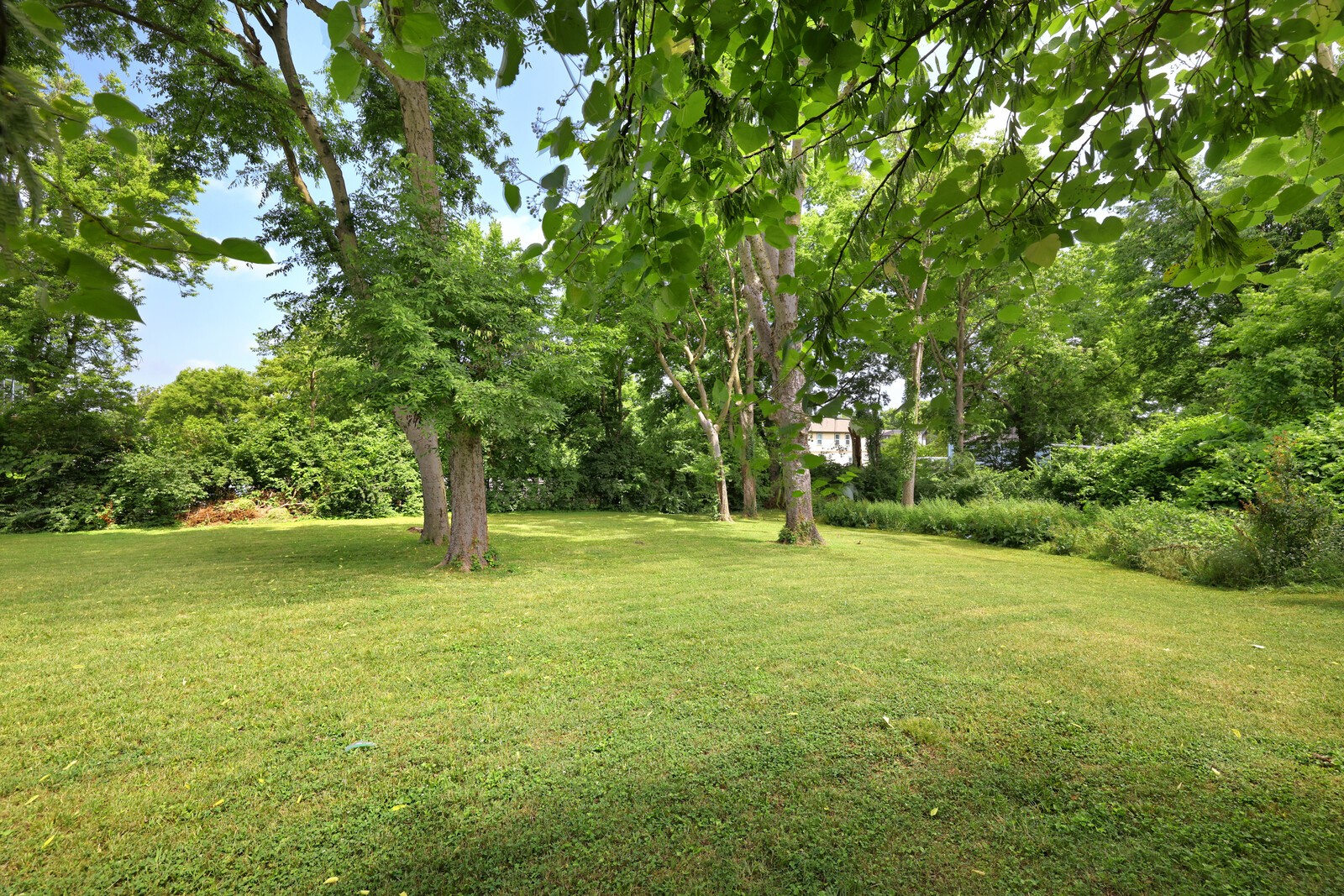412 Westboro Dr