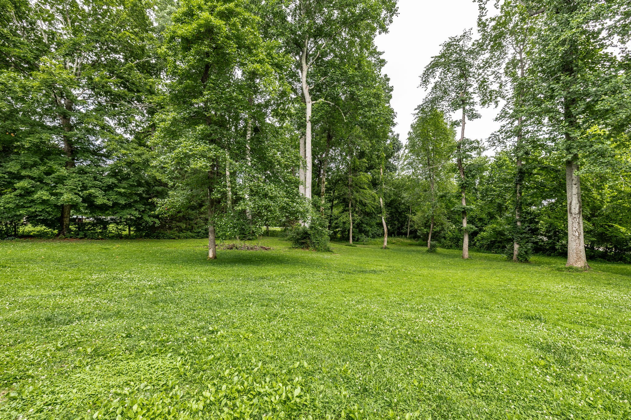 13989 Owens Chapel Rd