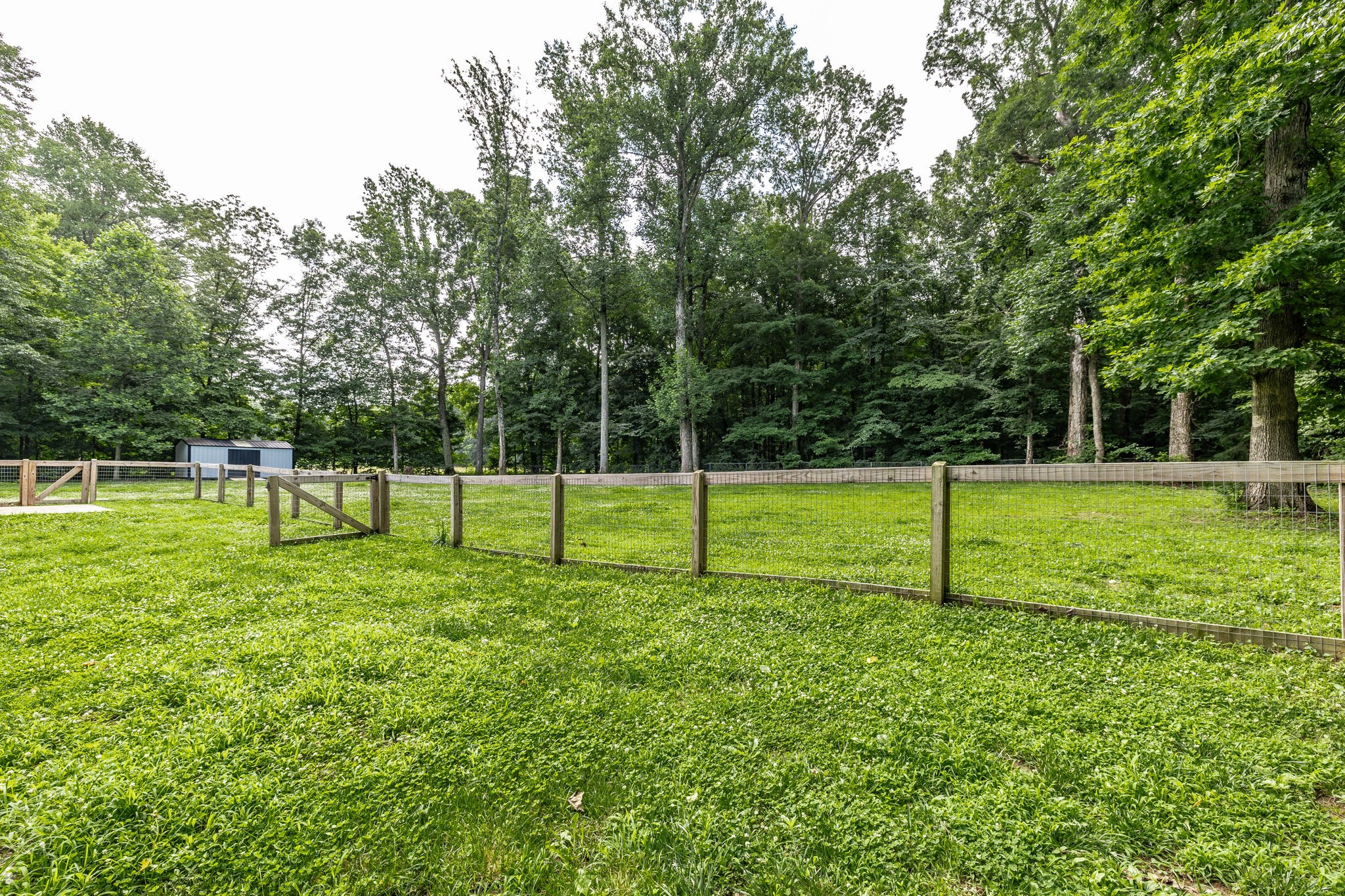 13989 Owens Chapel Rd