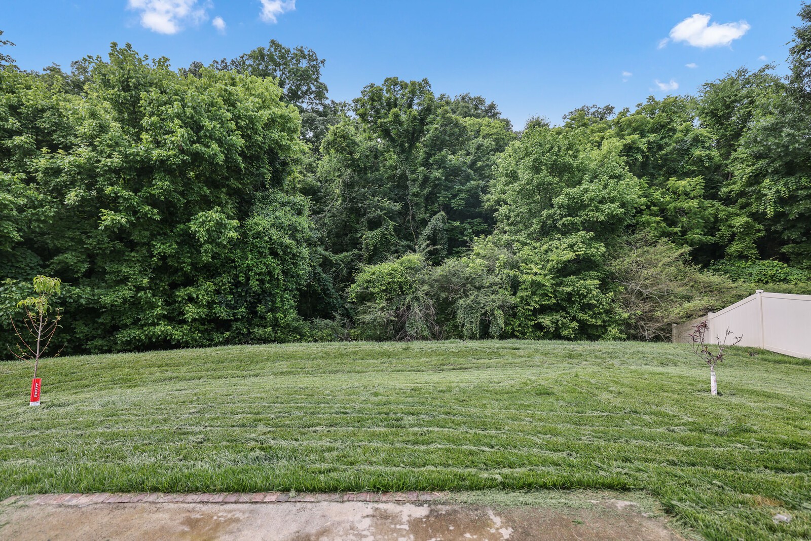 148 Macy Dr