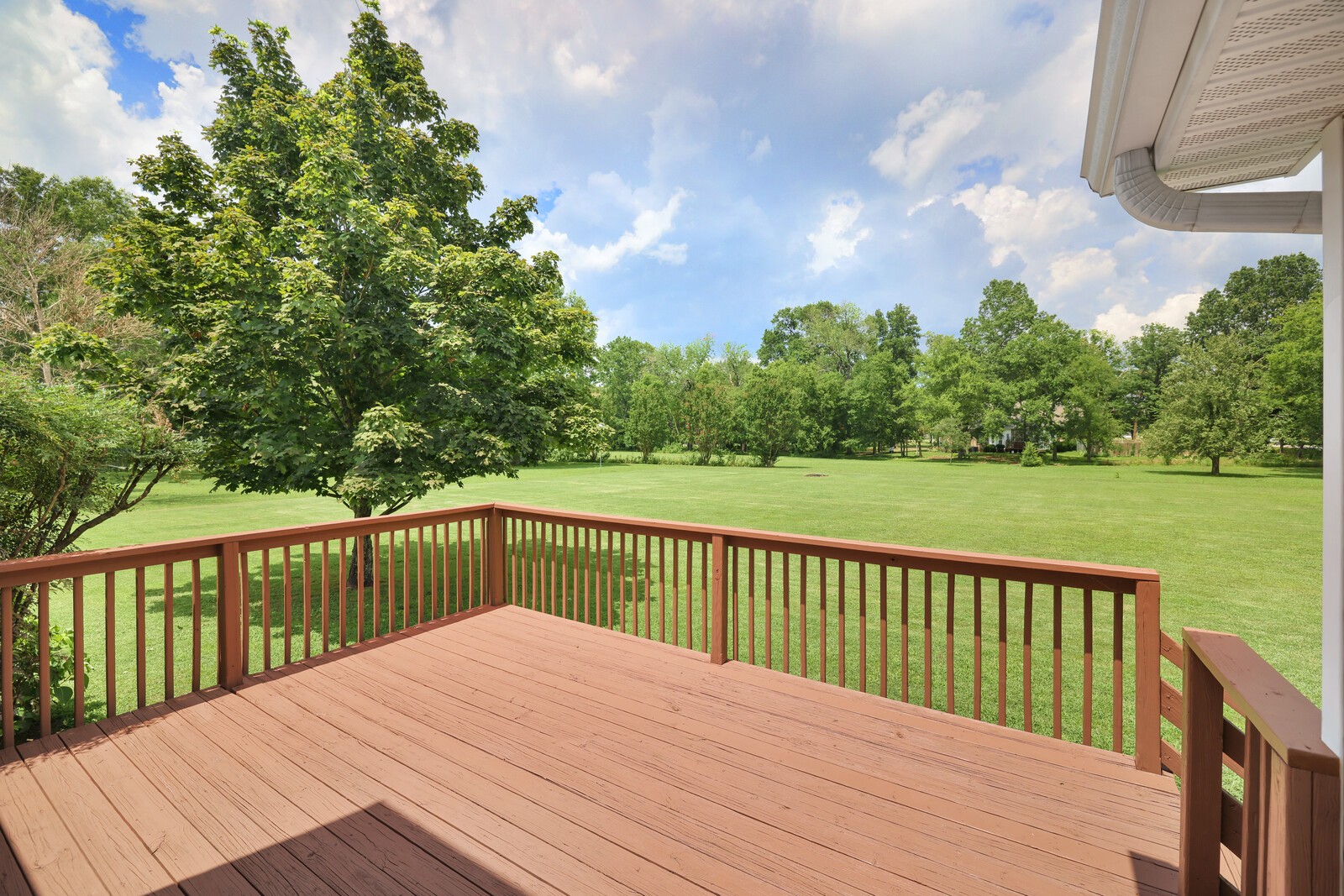 1049 Everett Dr