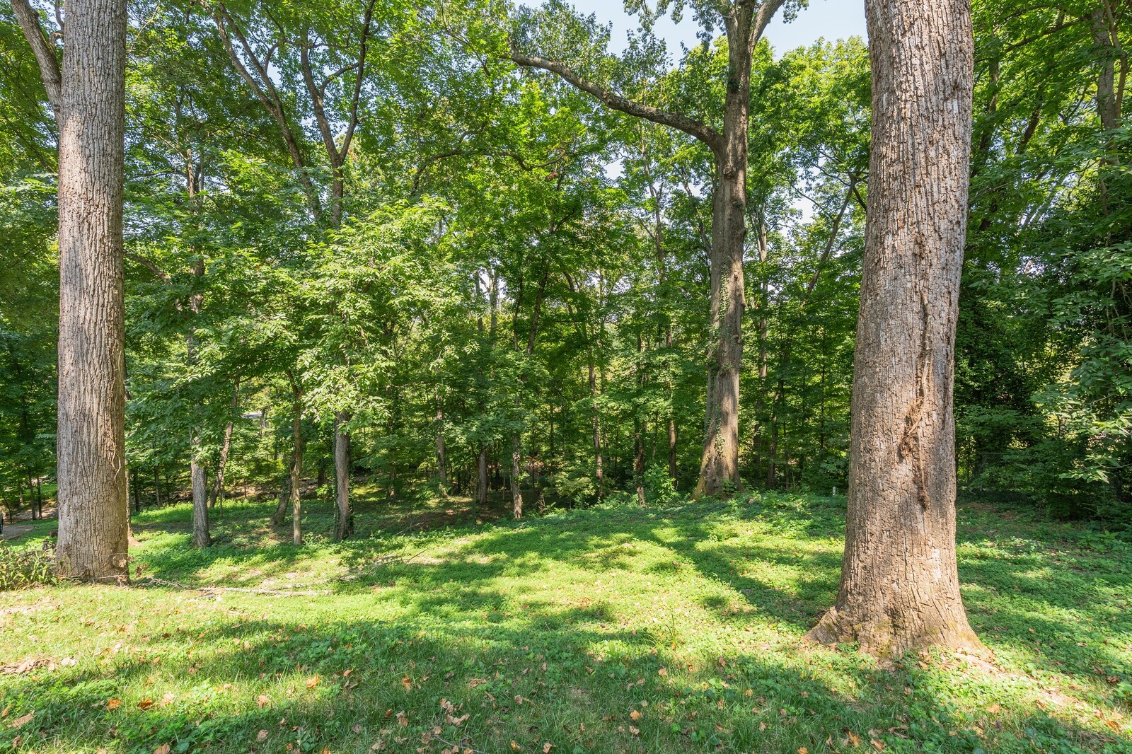 711 Hill Rd
