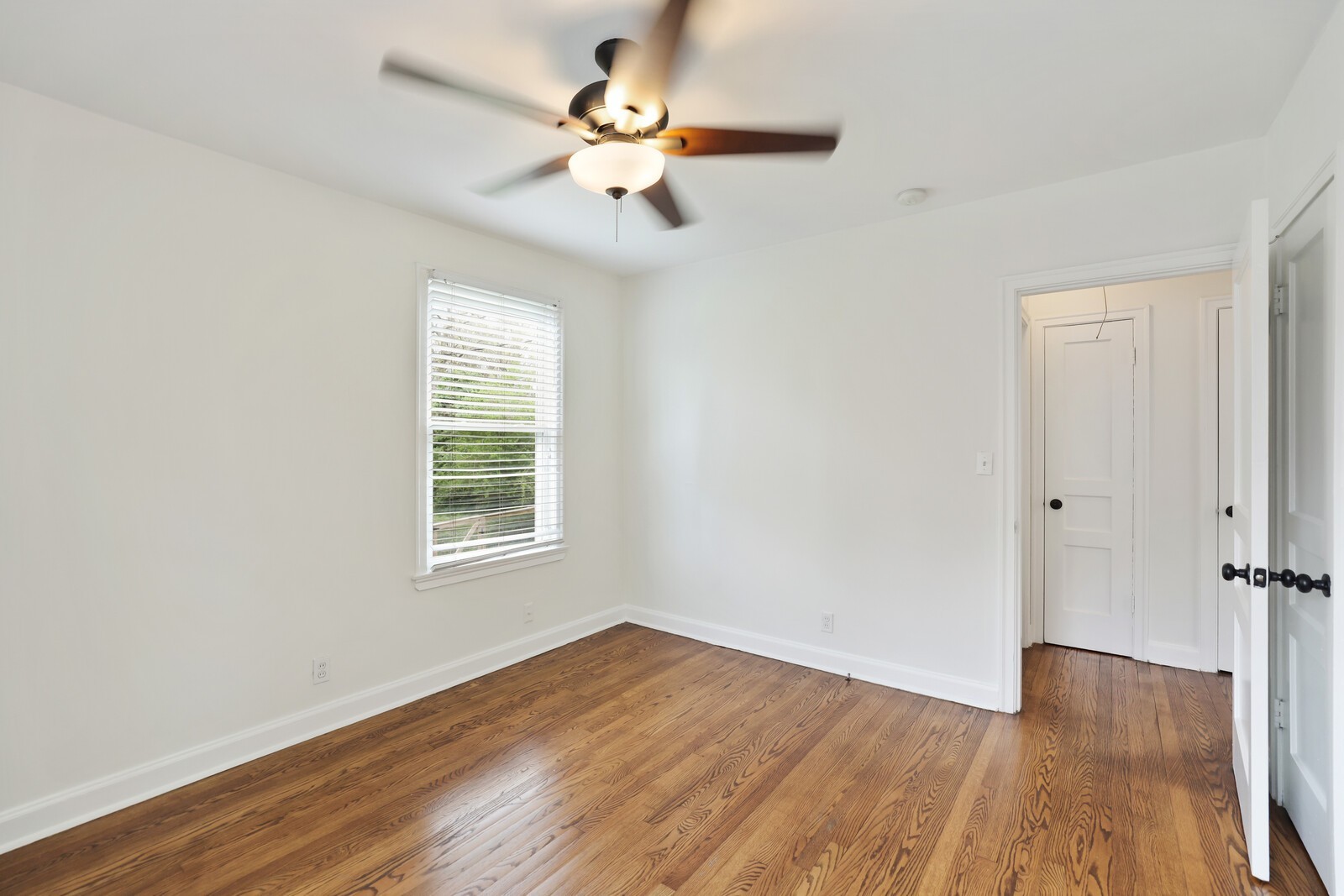 5531 Knob Rd
