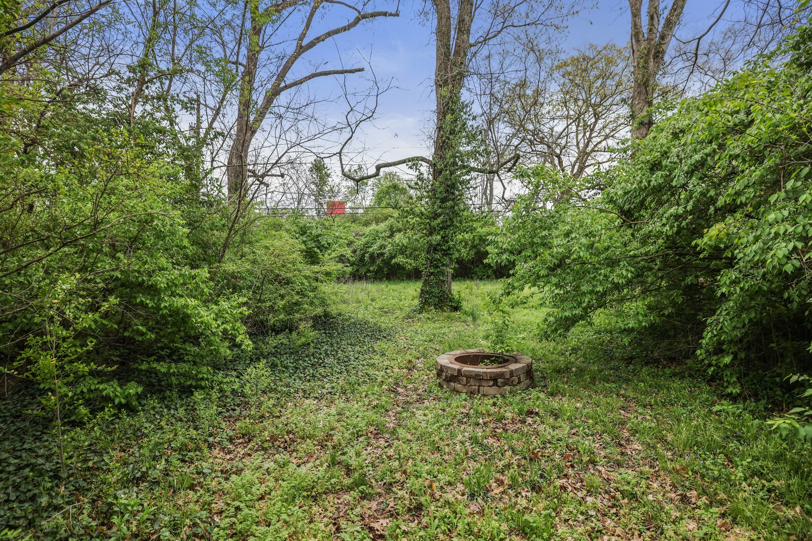 5531 Knob Rd