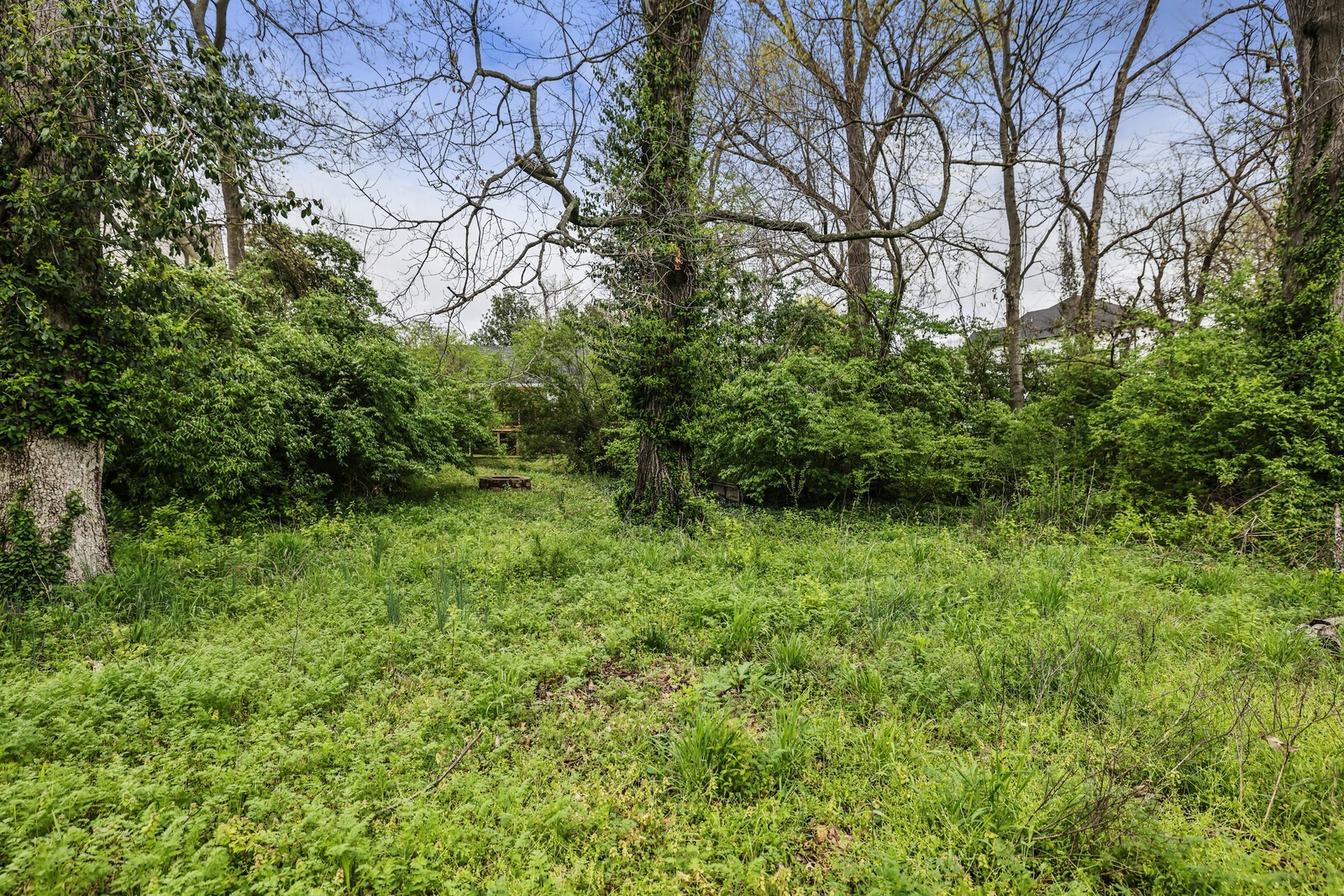 5531 Knob Rd