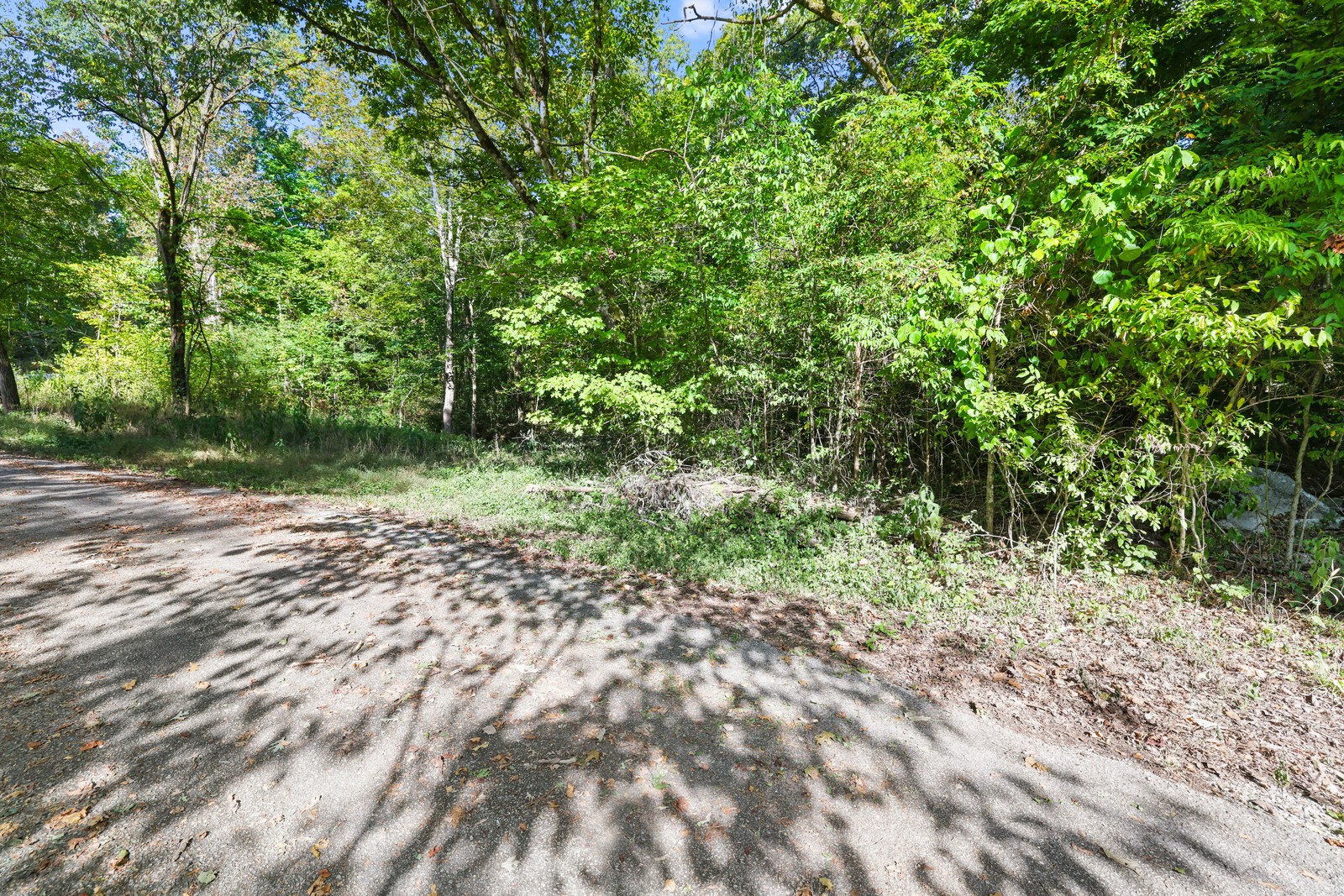 580 Carr Rd