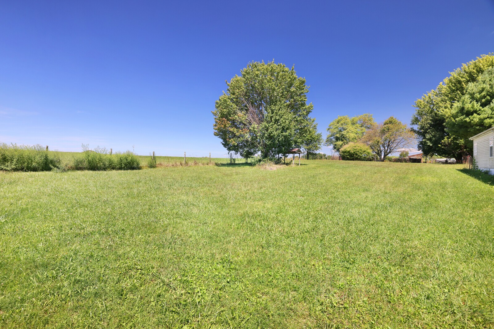 169 Tom Welch Rd