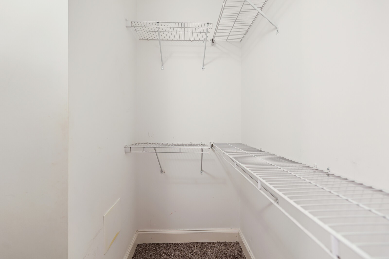 304 Thesing Ct