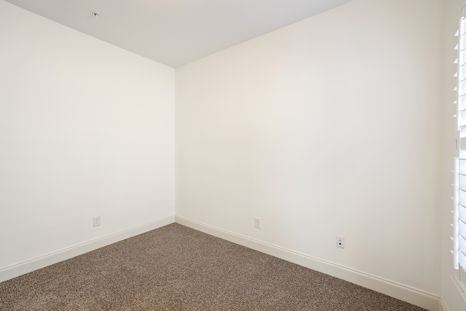 304 Thesing Ct