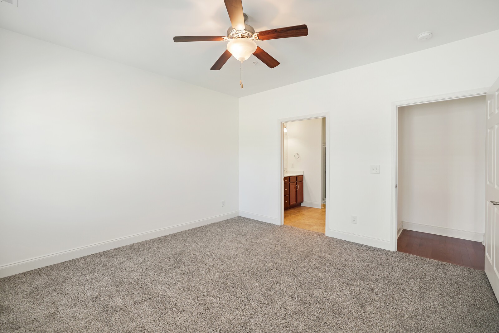 304 Thesing Ct