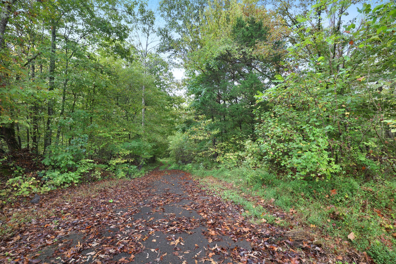 820 New Rd