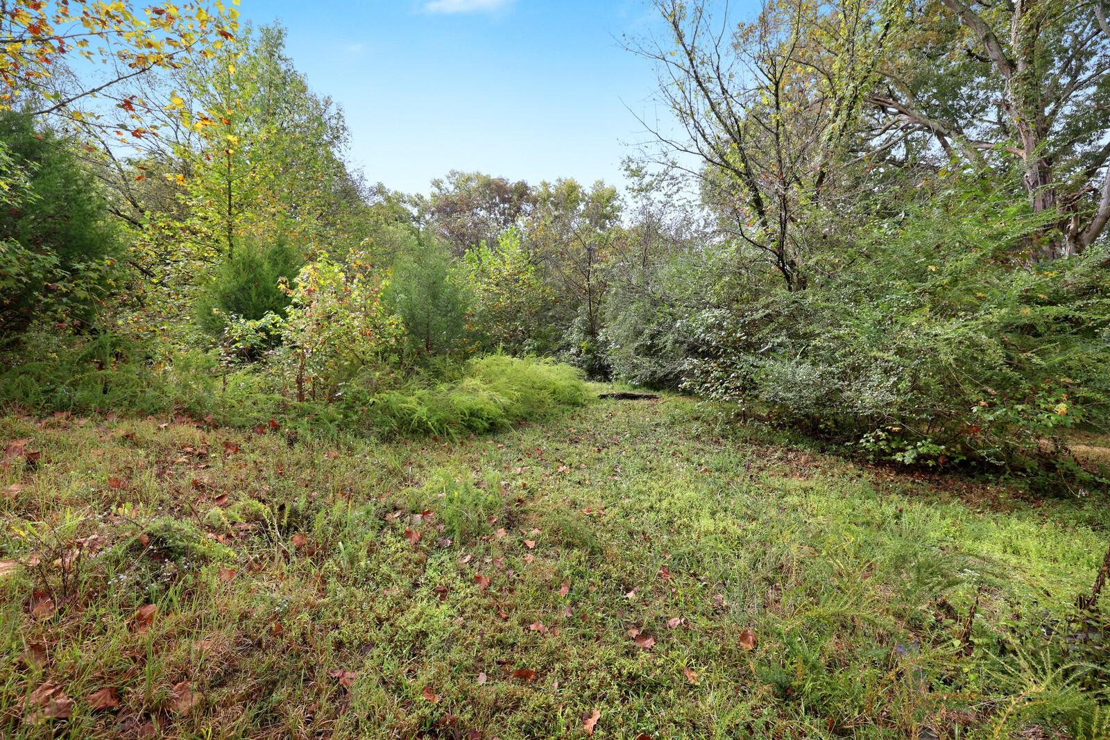 820 New Rd