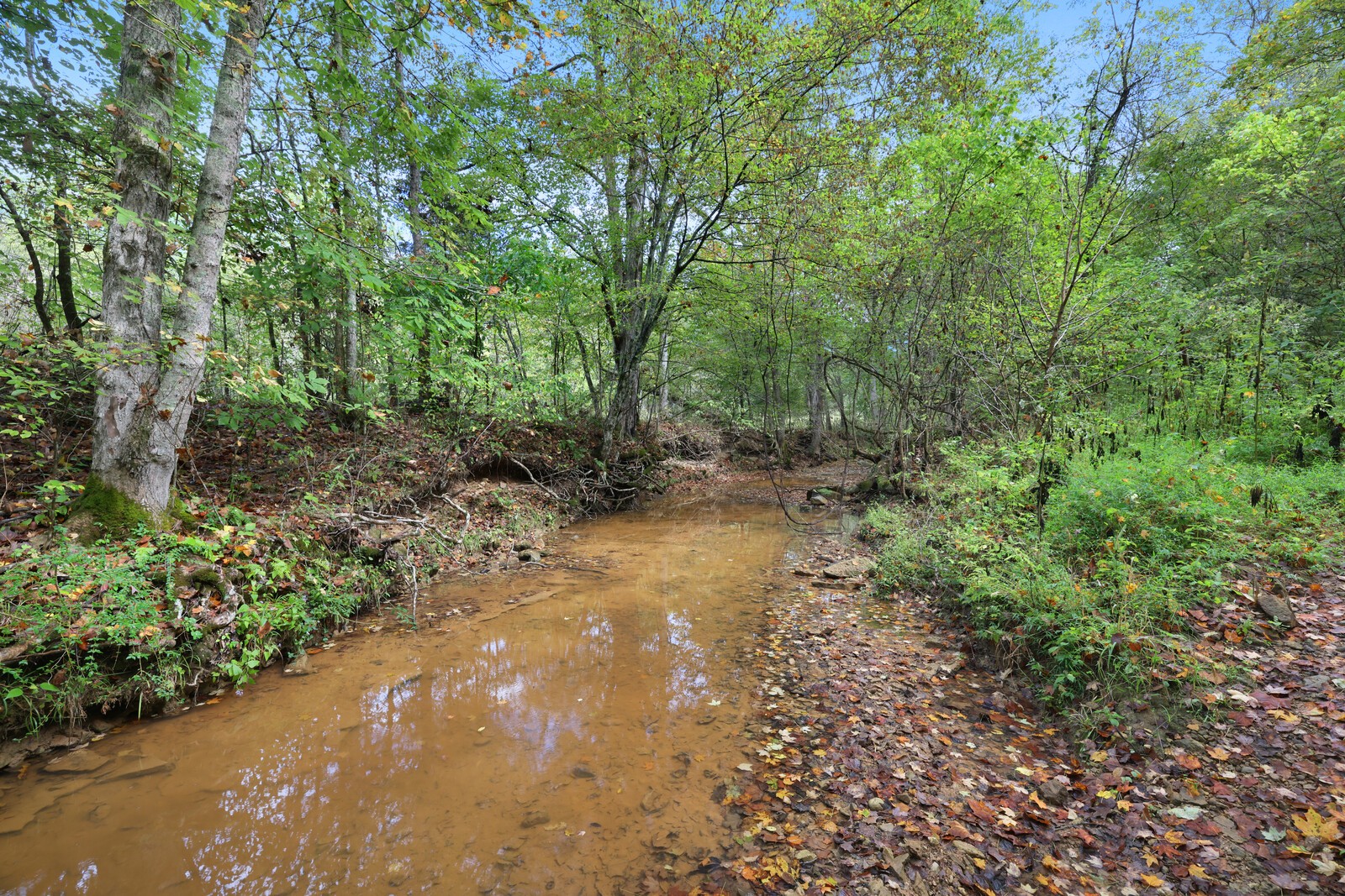 820 New Rd