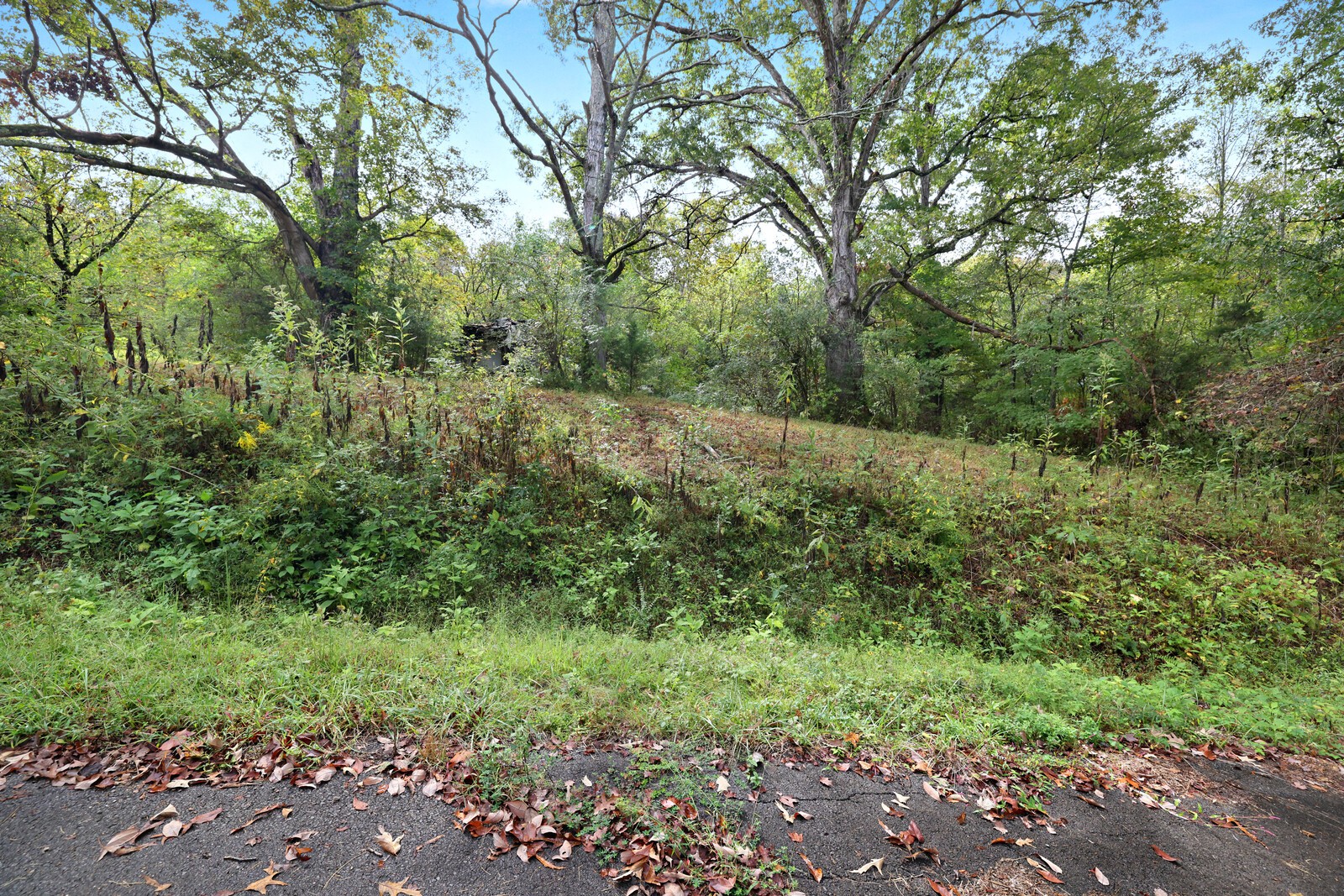 820 New Rd