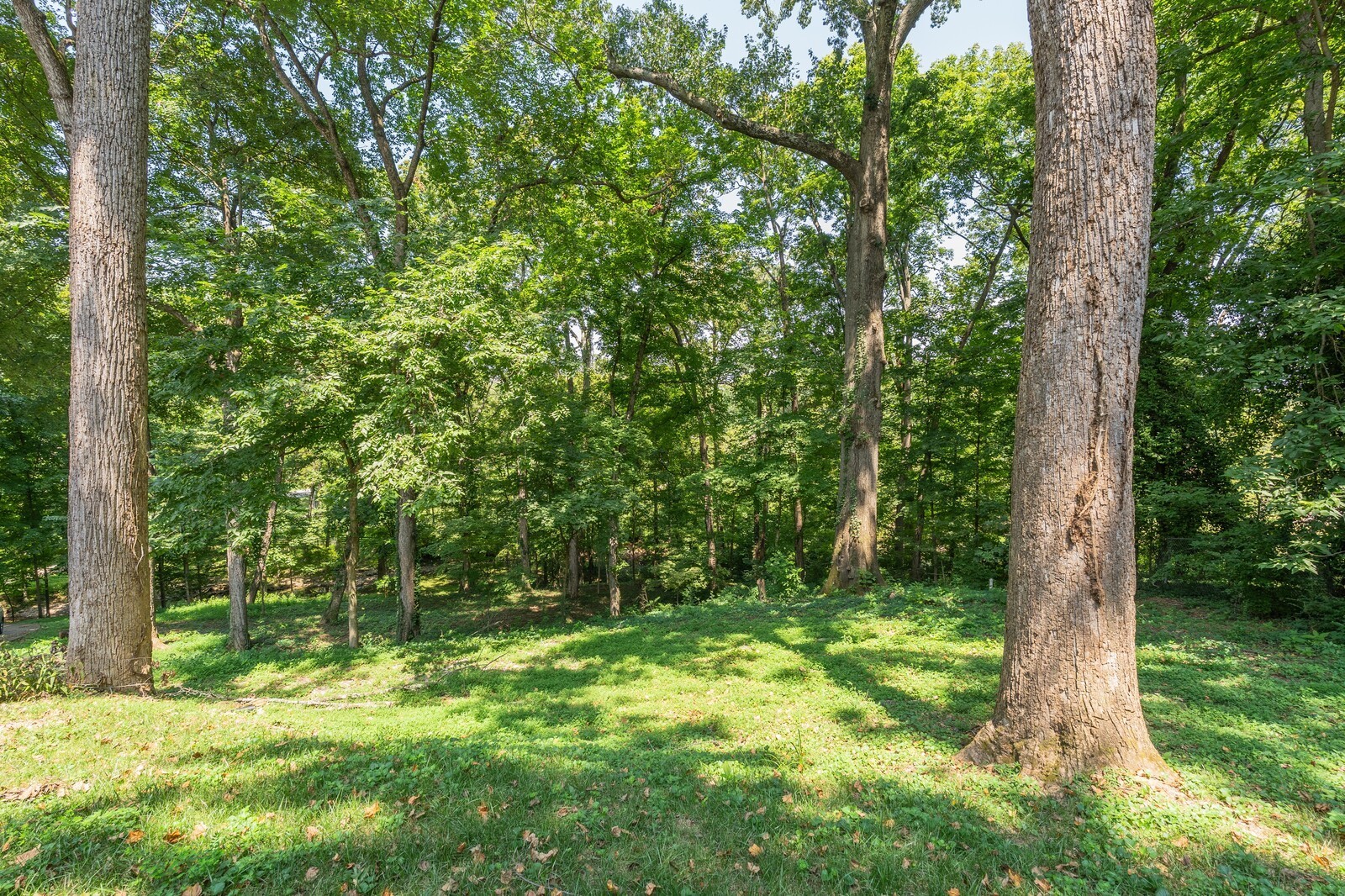 711 Hill Rd
