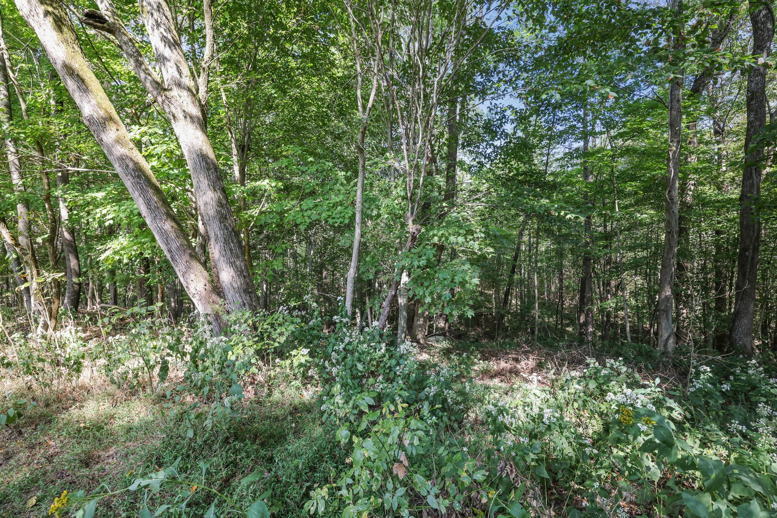 634 Bennett Hill Rd