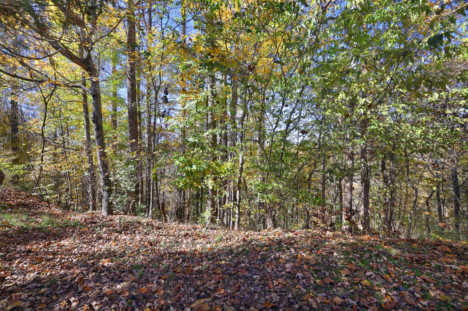 16301B Smithville Hwy