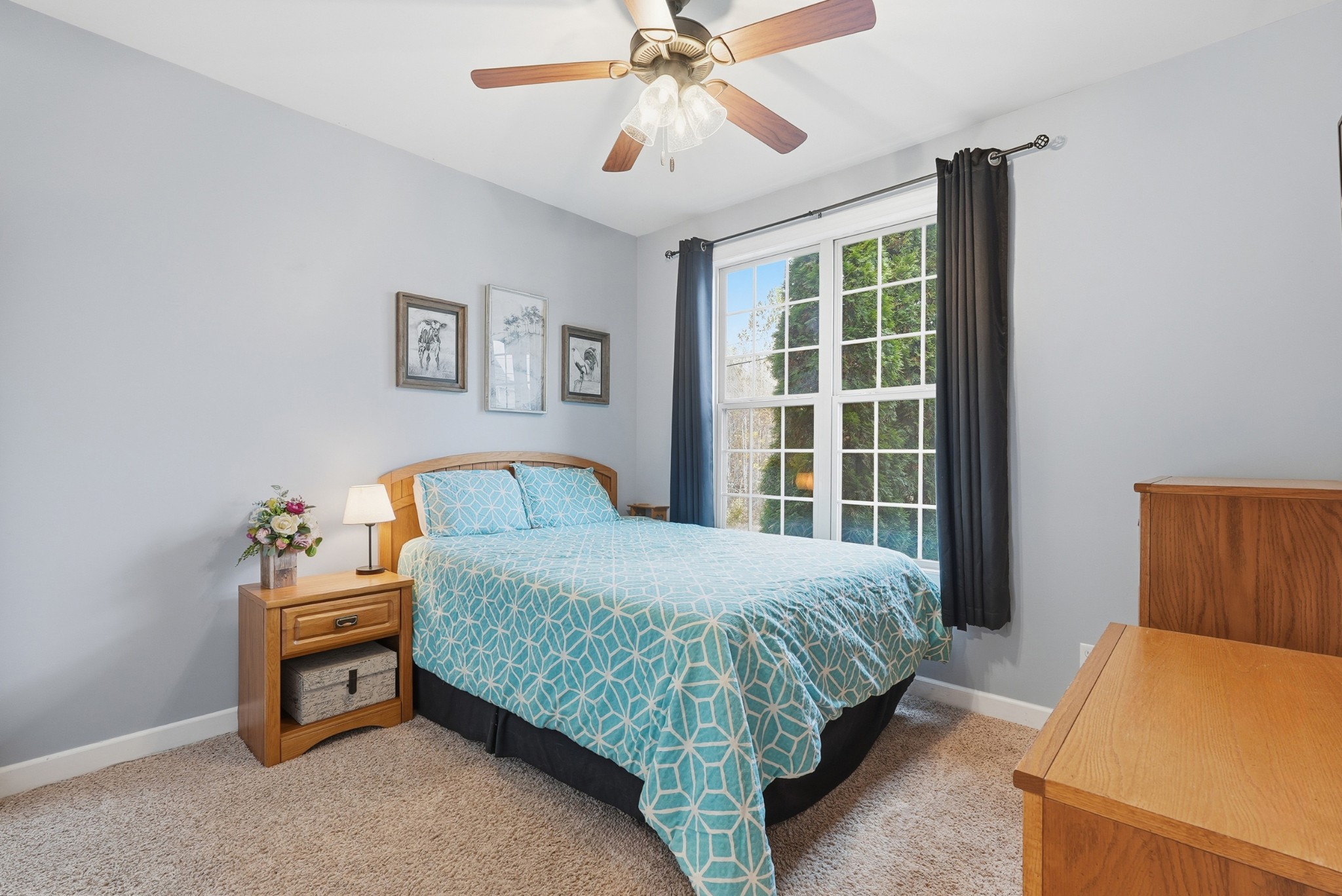 205 Stephen St