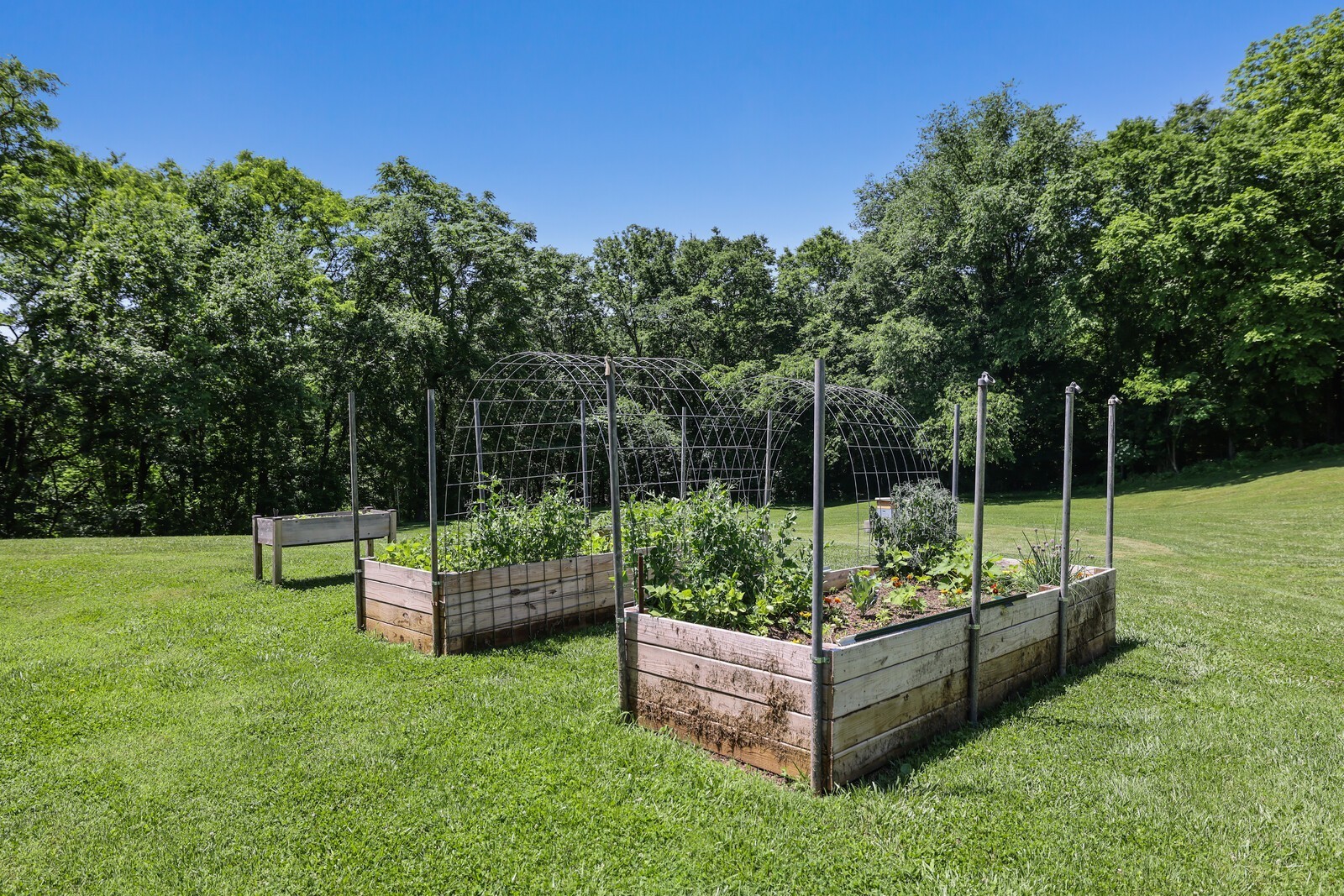 2219 Mack Benderman Rd