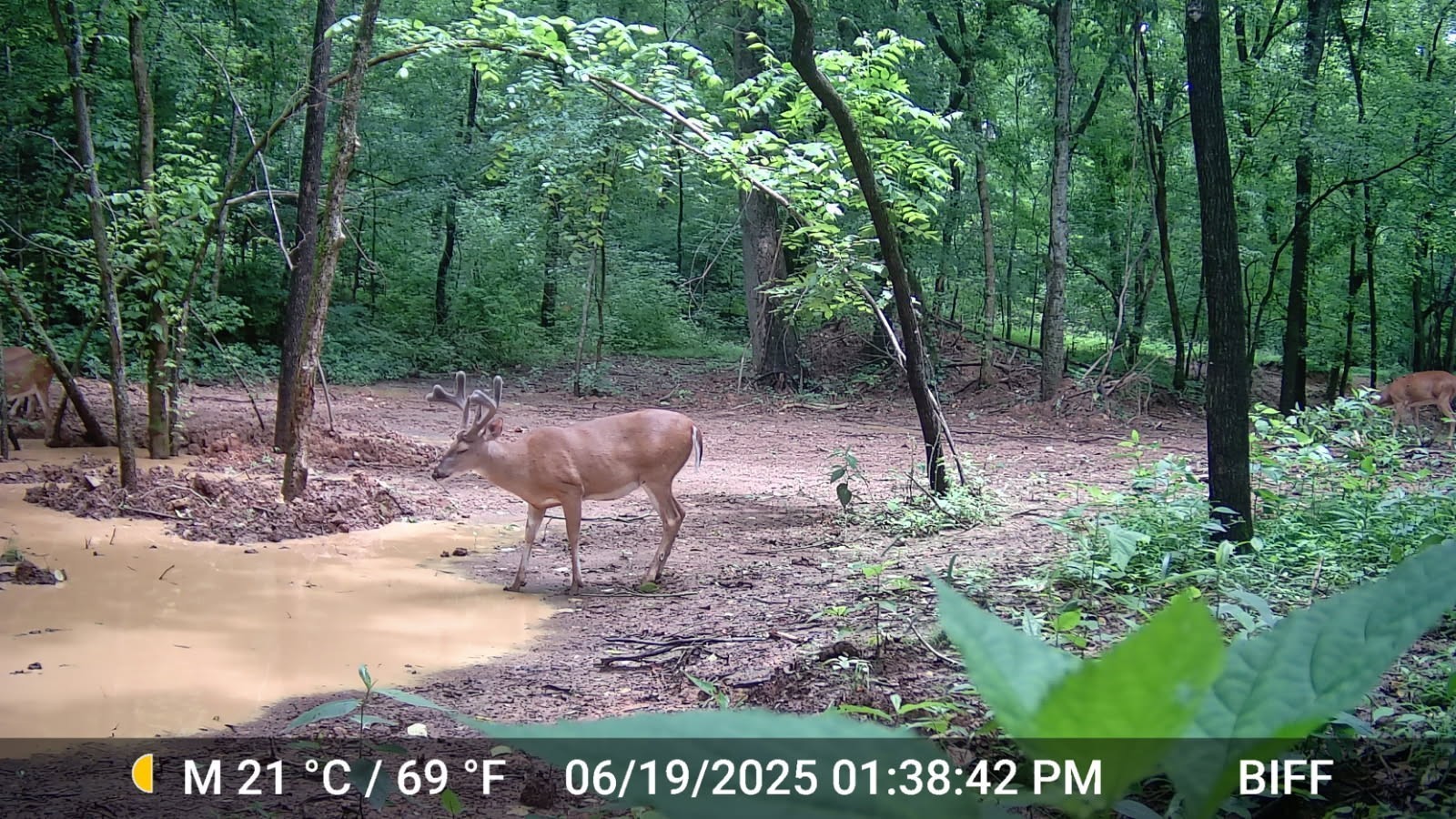 2219 Mack Benderman Rd