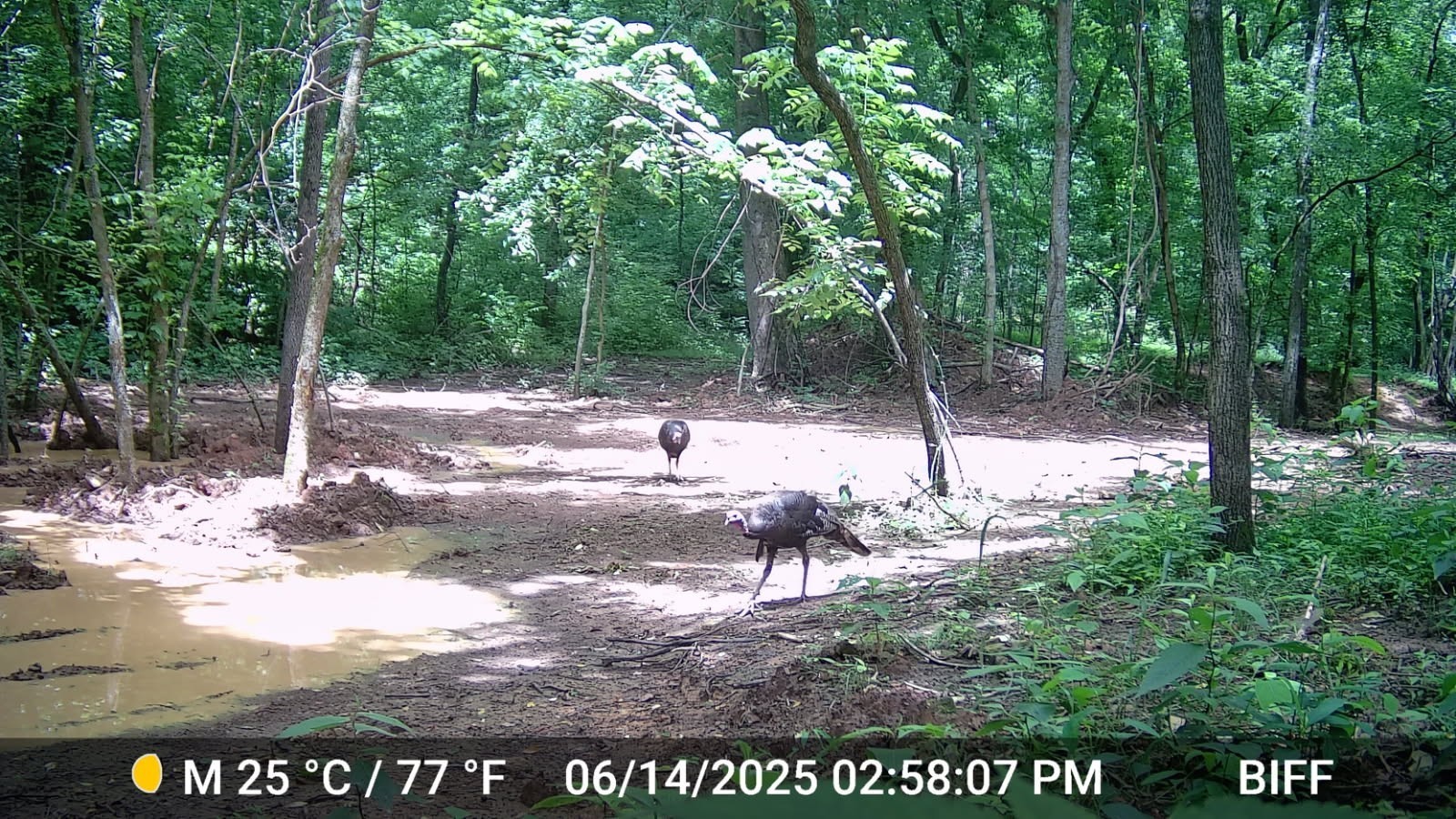 2219 Mack Benderman Rd