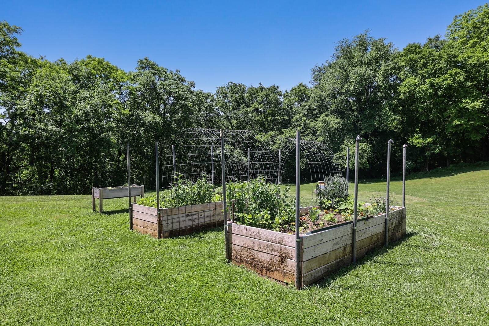 2219 Mack Benderman Rd