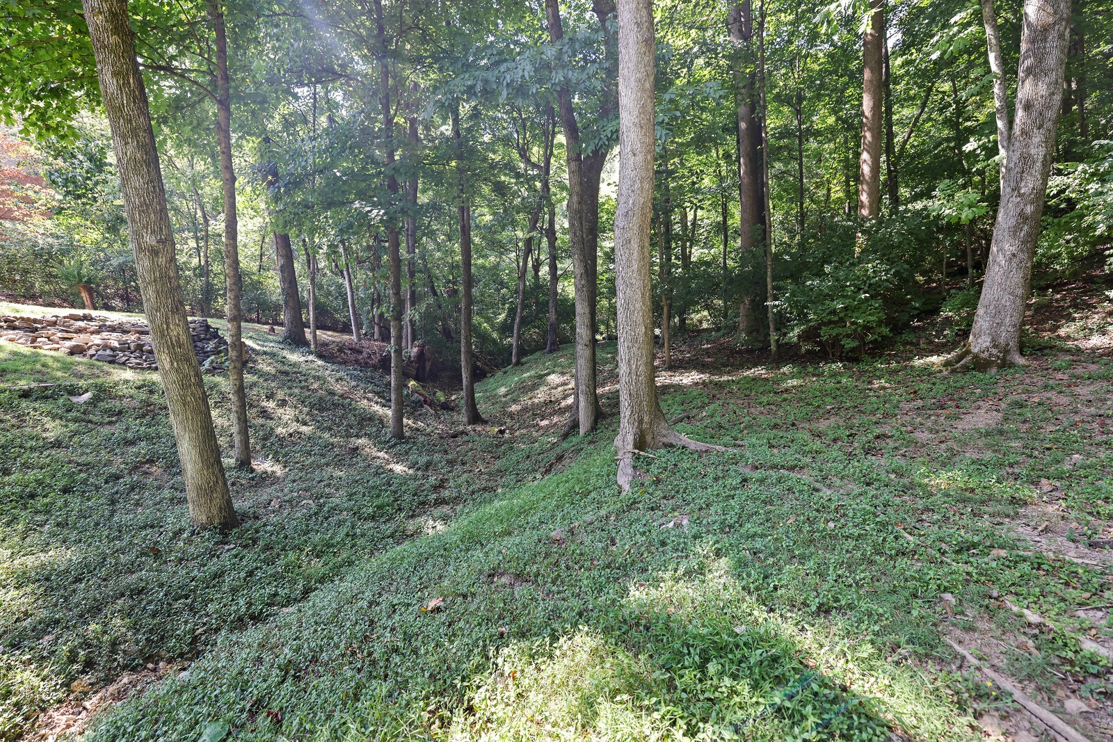 700 Highland View Pl