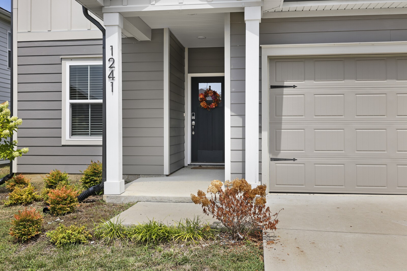 1241 Dutch Peak