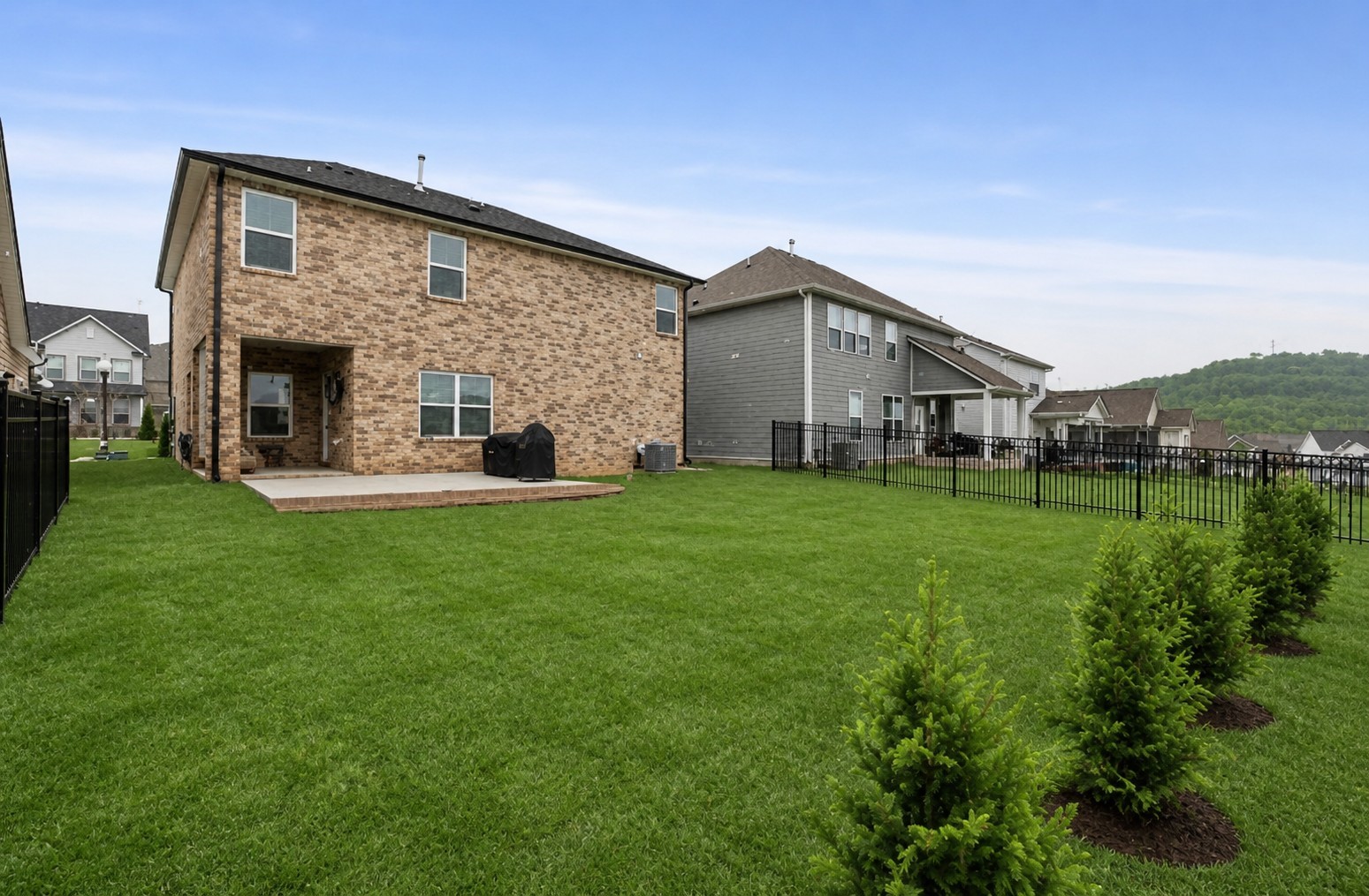 443 Black Walnut Dr