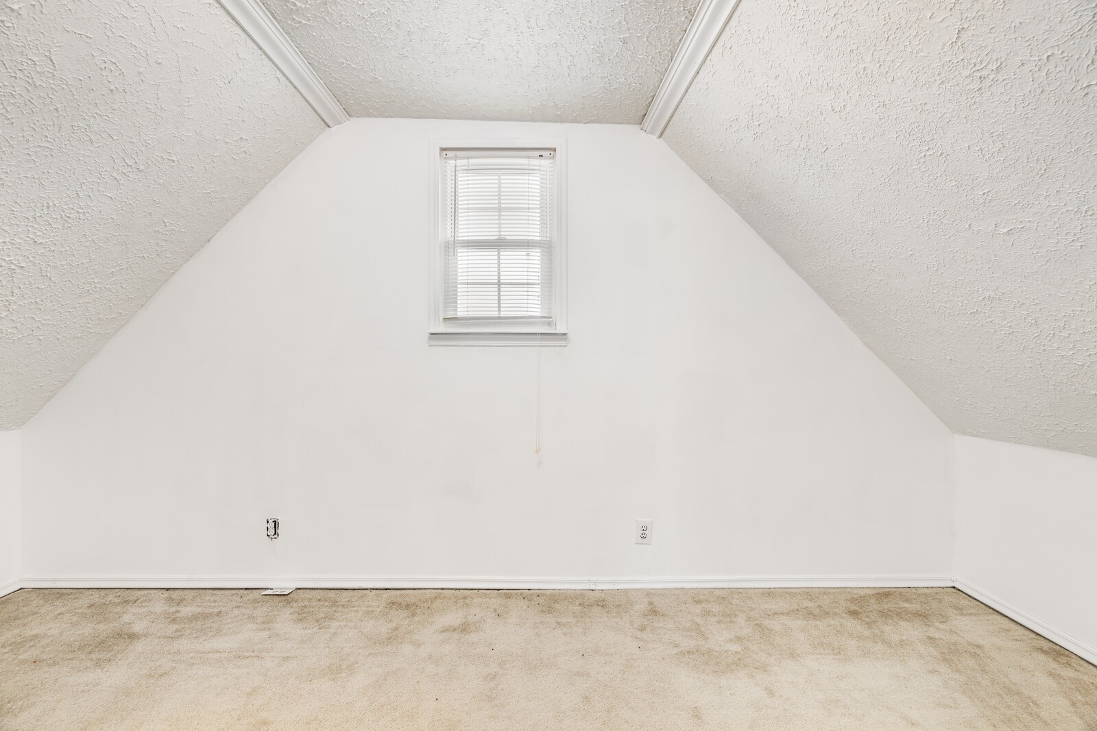 100 Bluegrass Dr