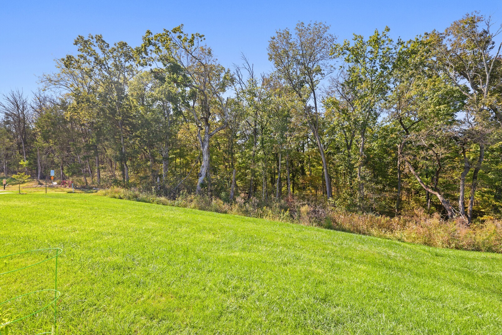 1419 Autumn Leaf Ln