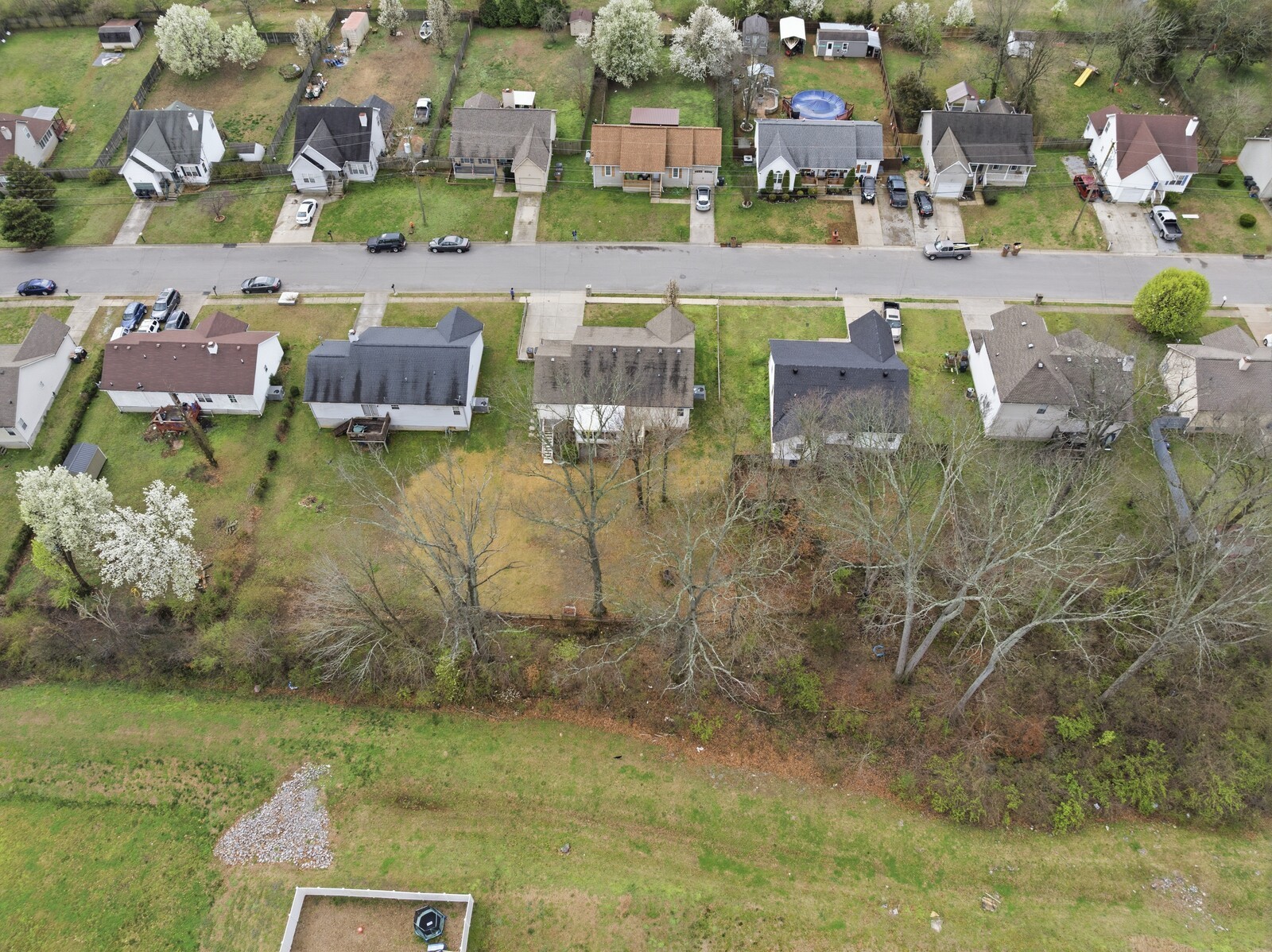 1433 Laurel Oak Dr
