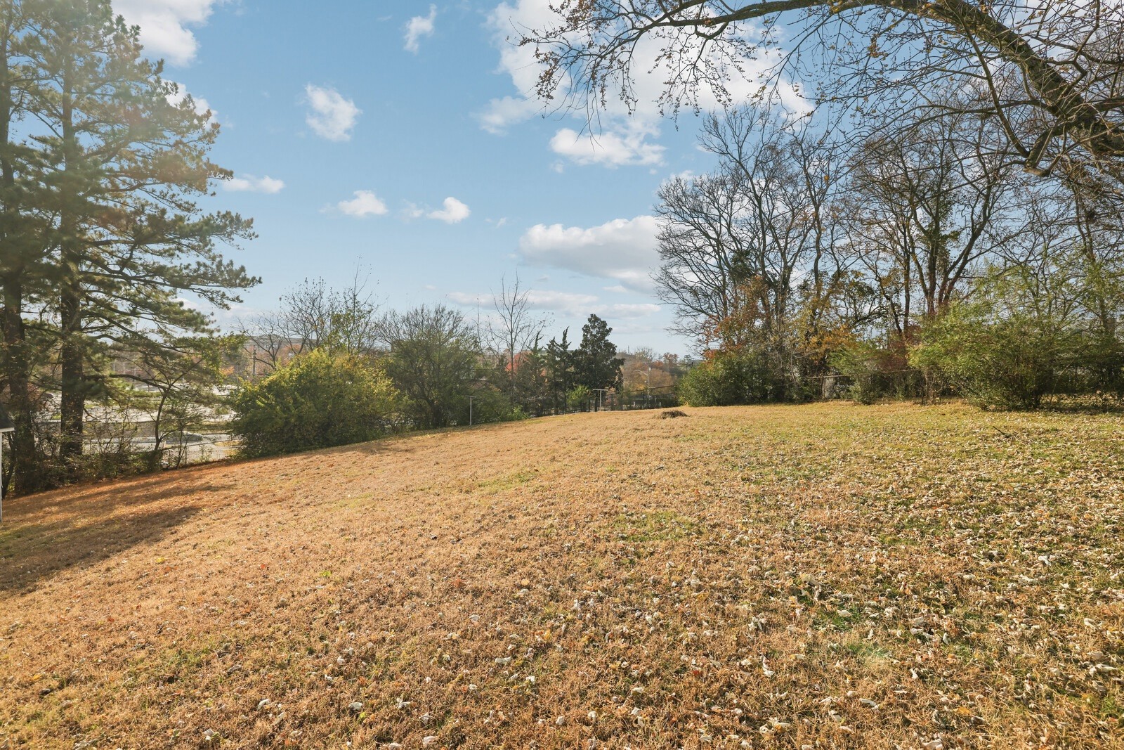 924 Shauna Dr