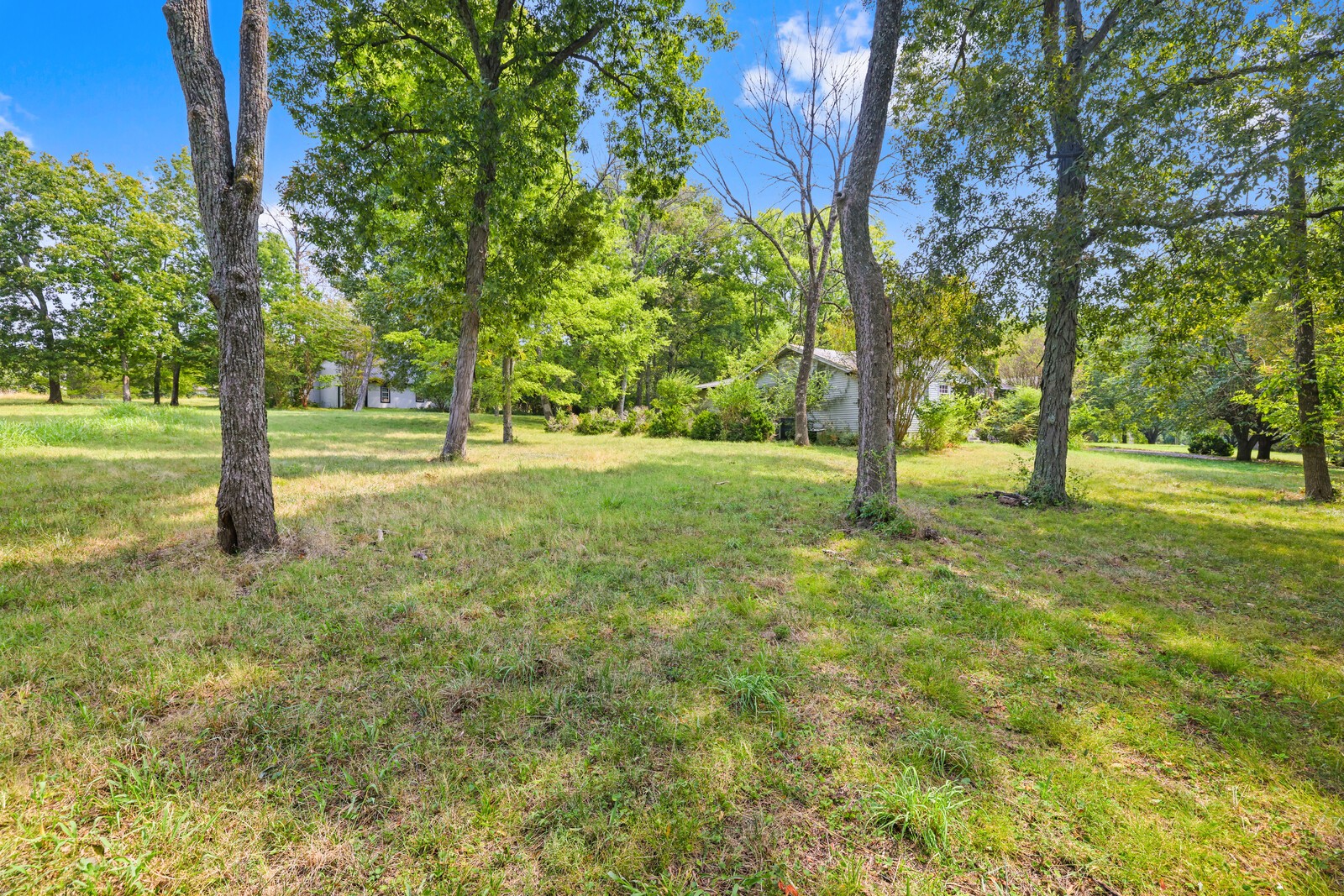 2516 Old Smith Springs Rd