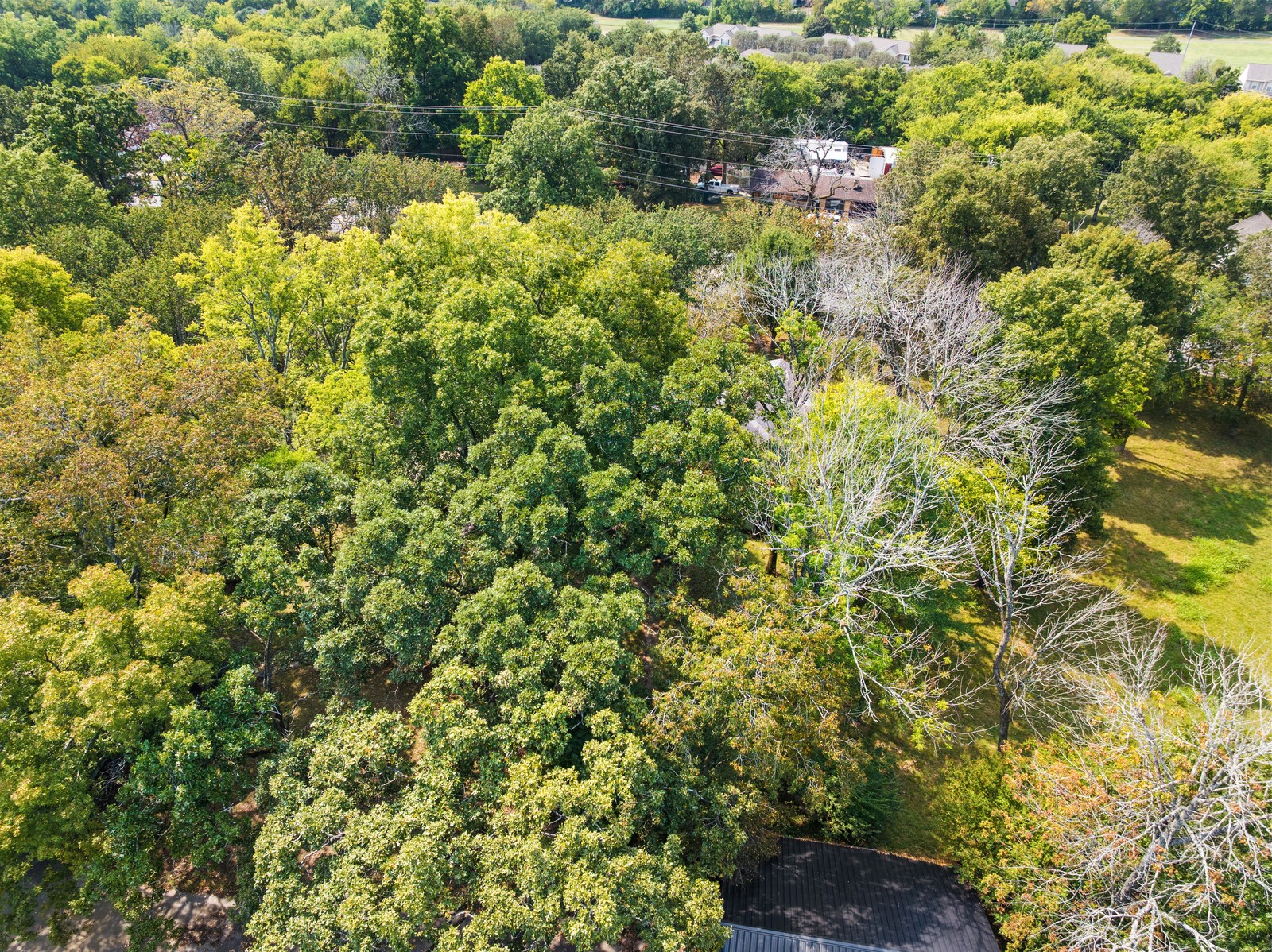 2516 Old Smith Springs Rd