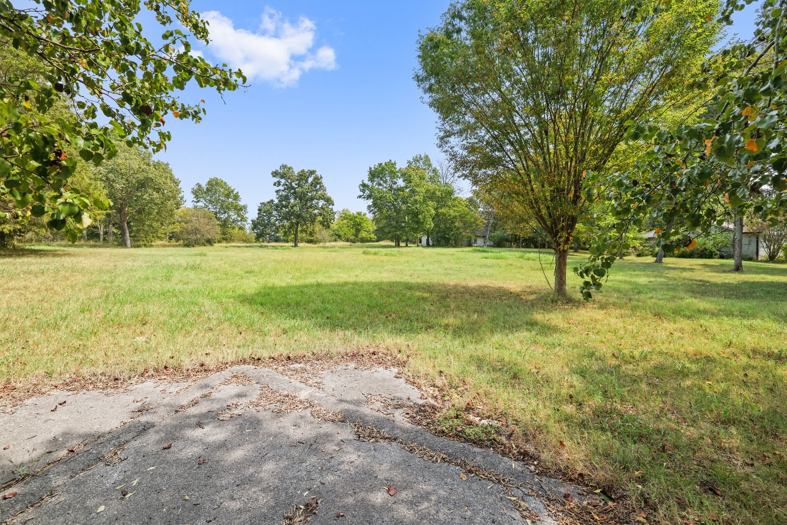 2516 Old Smith Springs Rd