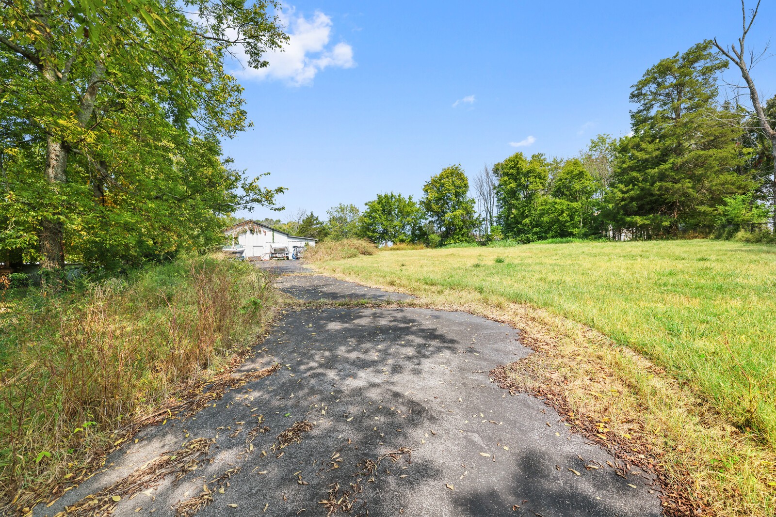 2516 Old Smith Springs Rd