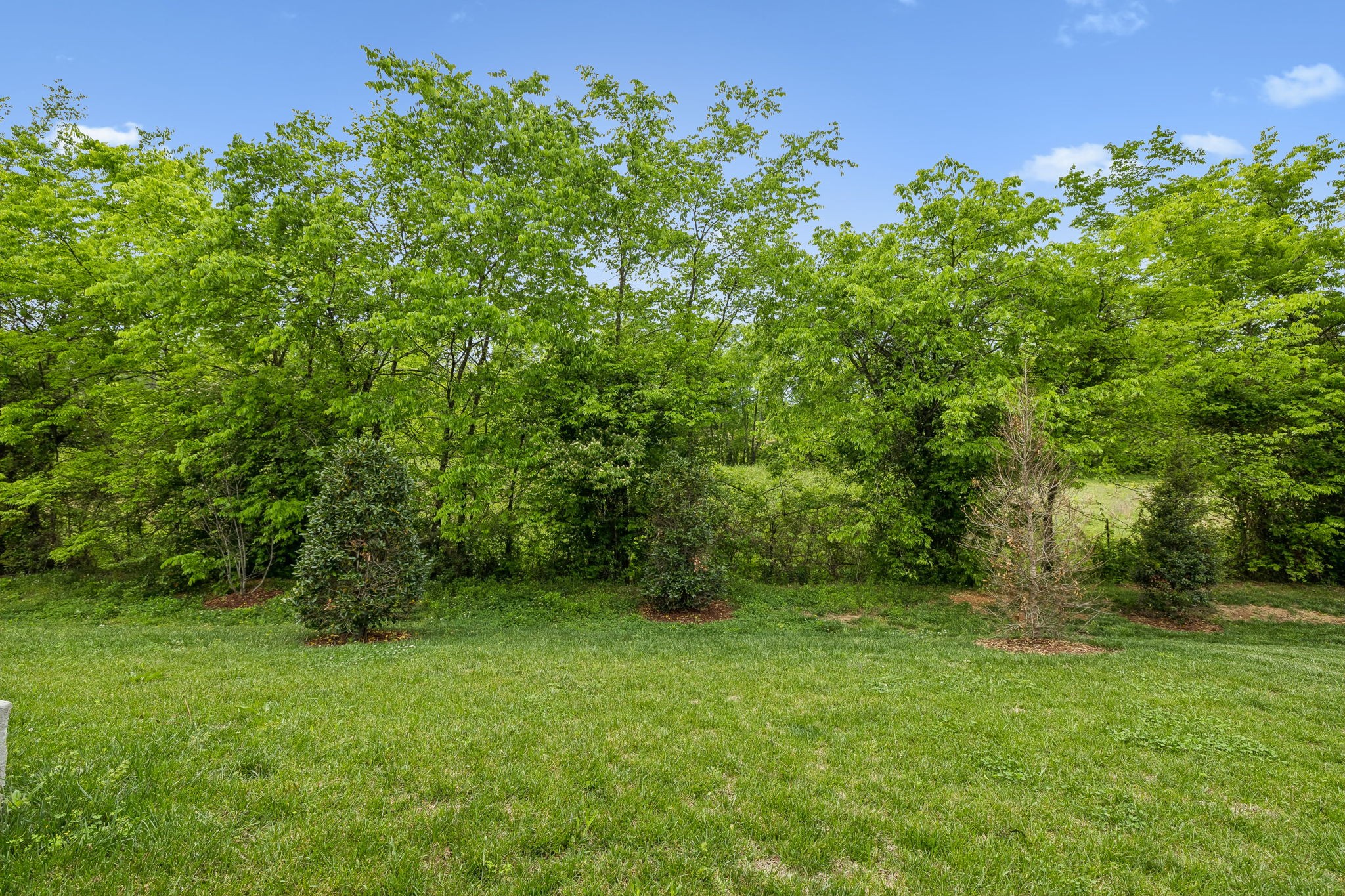 366 Triple Crown Cir