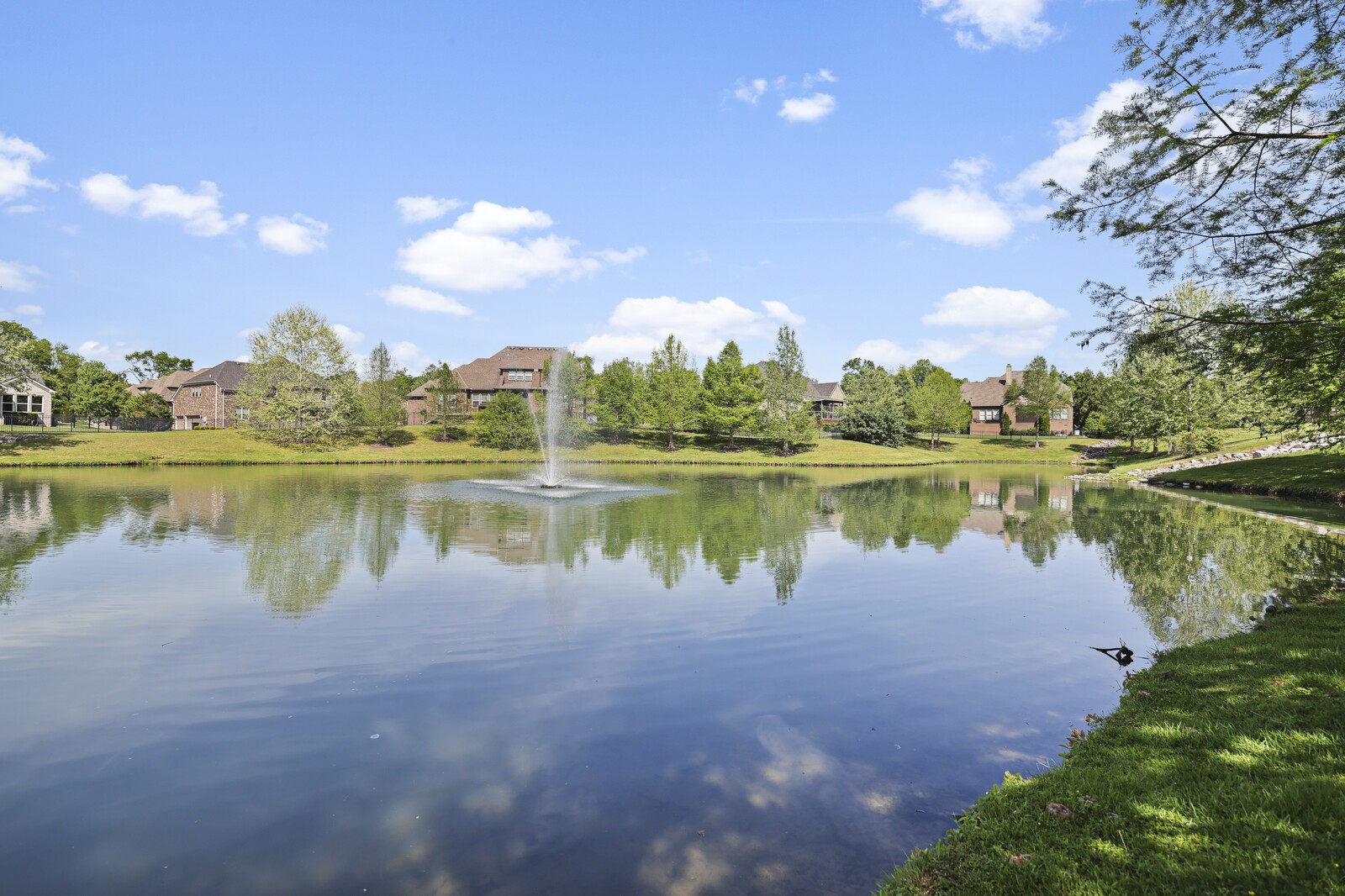 217 Terri Park Way
