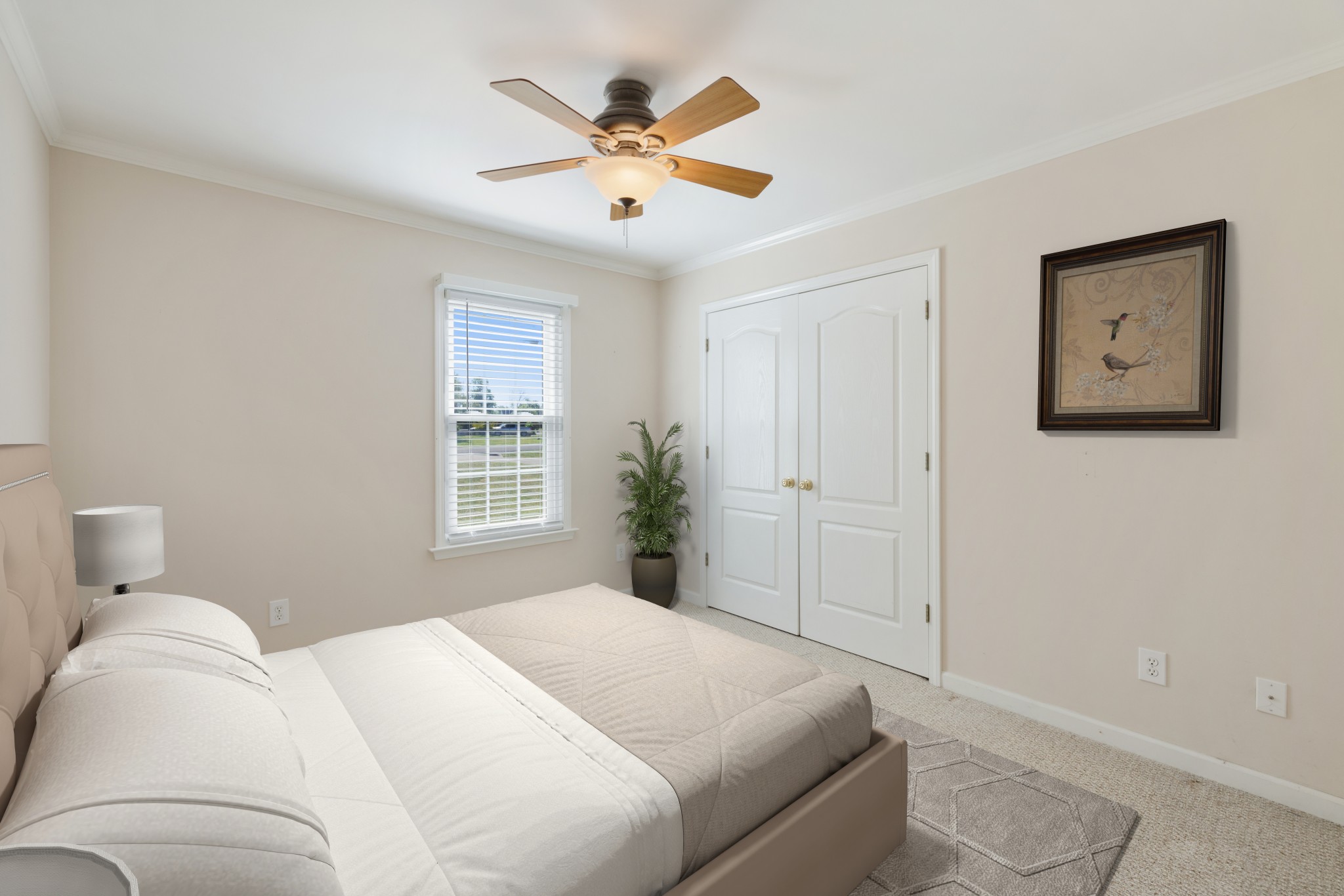 323 Winter Way