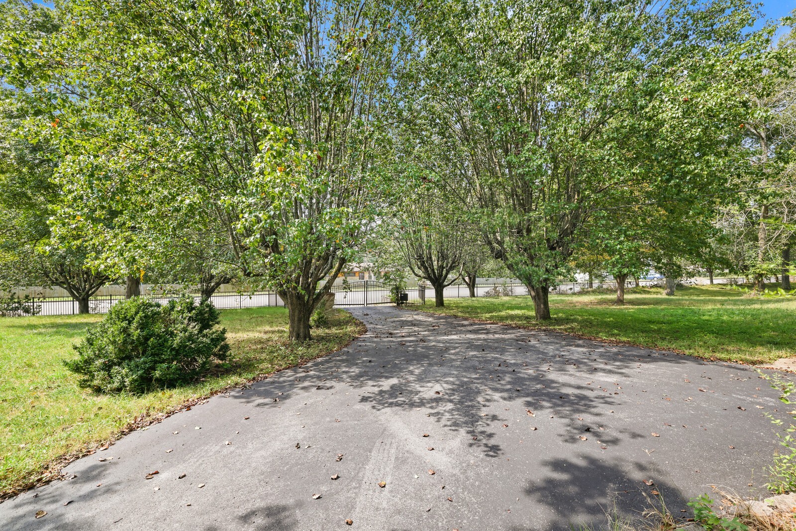 2516 Old Smith Springs Rd