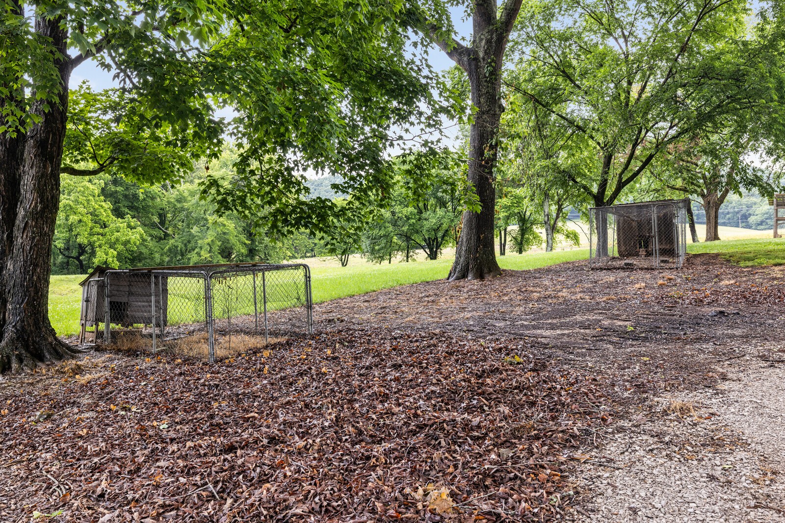 380 Webbs Camp Rd