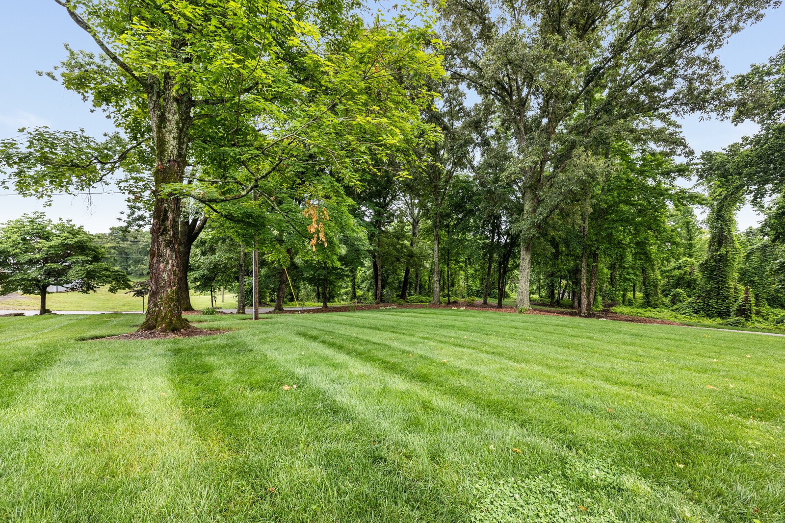 380 Webbs Camp Rd