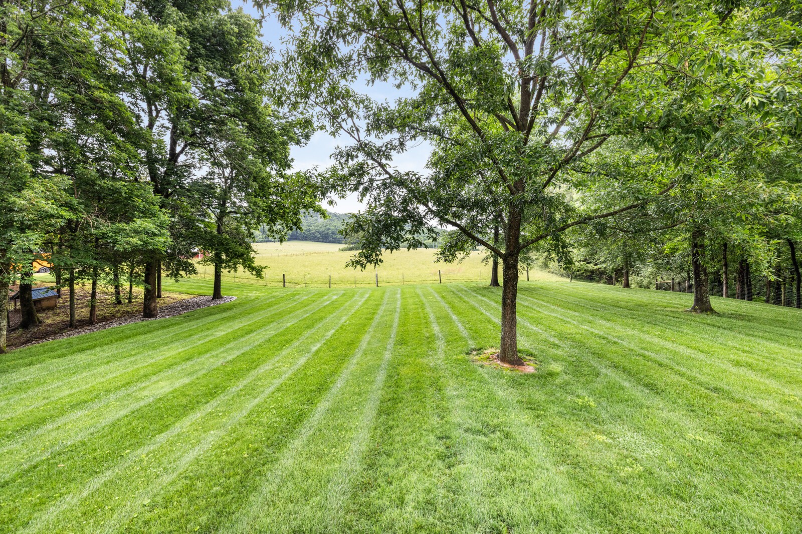380 Webbs Camp Rd
